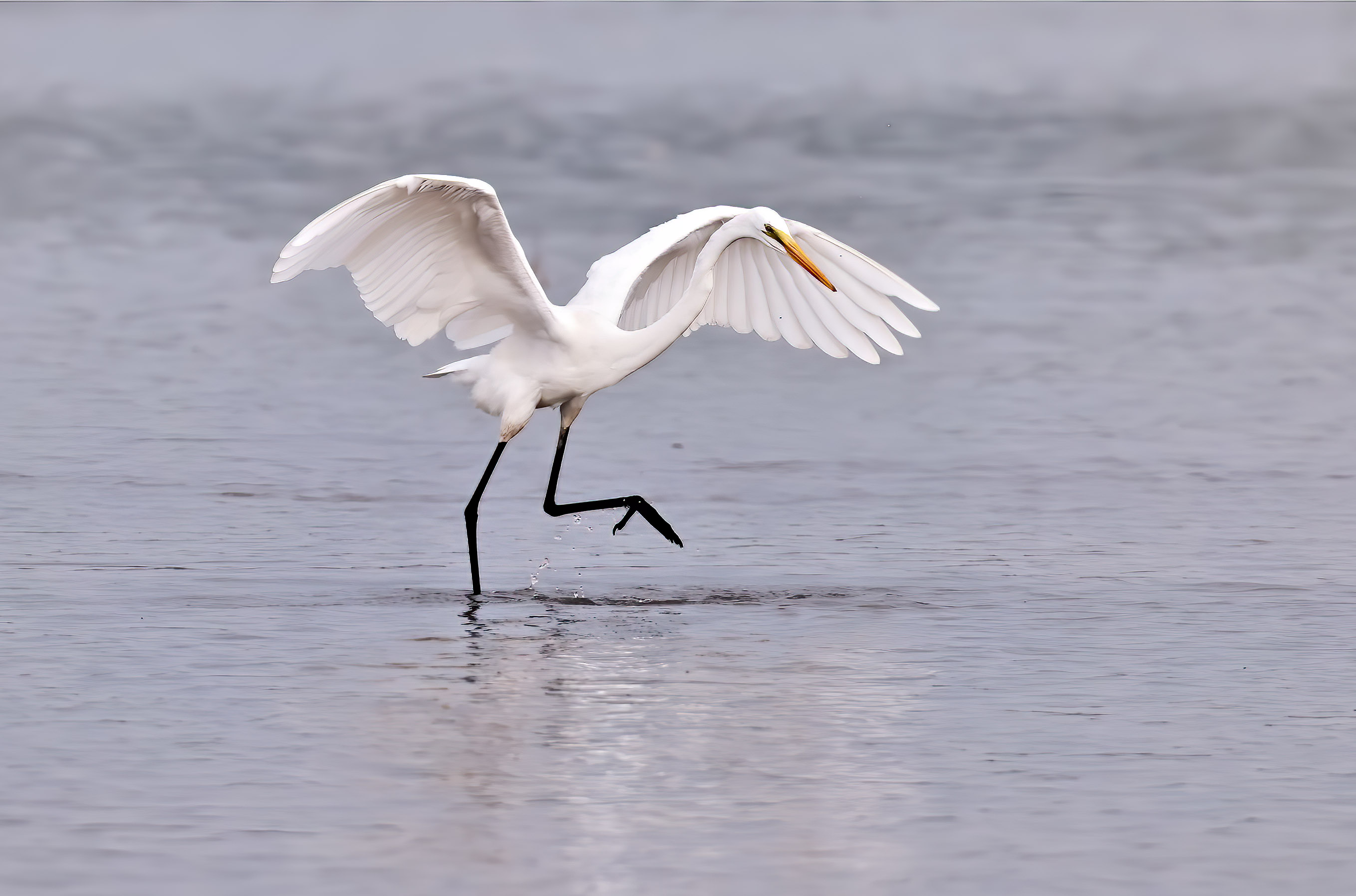 ��Ծ������