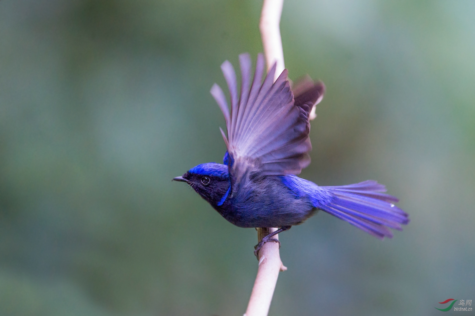 �ﺮ  ��ʦ����������ʡ ��ɽ��¡����.jpg