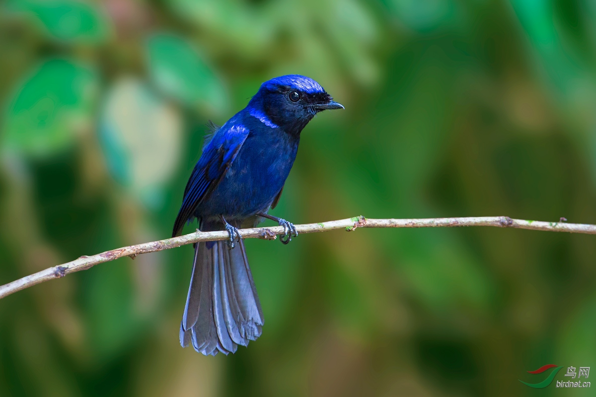 ϣ��  ��ʦ����.jpg