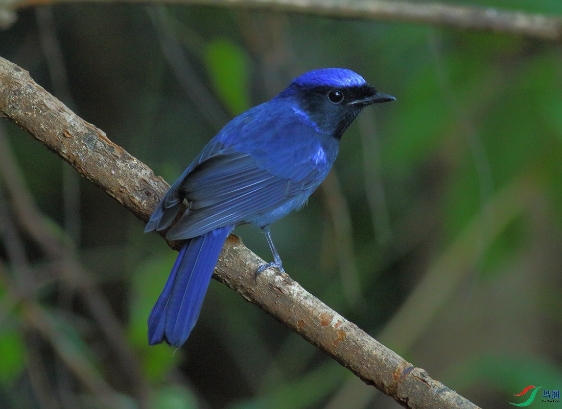 �����  ��ʦ�����ڹ���׳��������������������.jpg