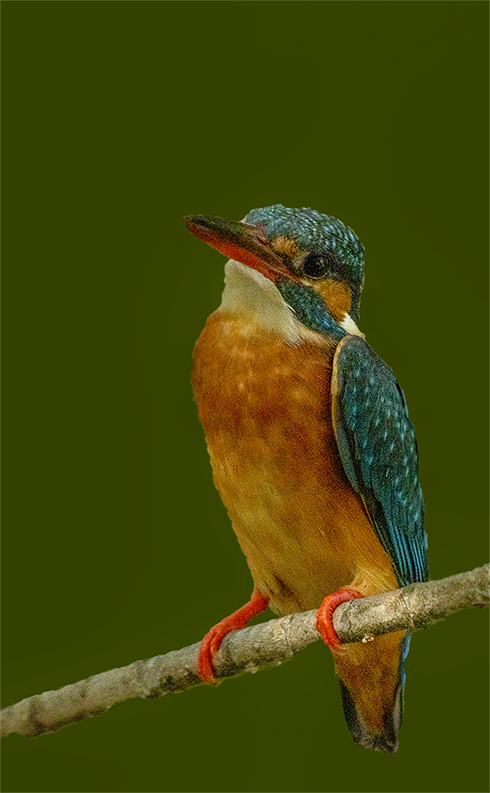 _DSC8729 ����.jpg