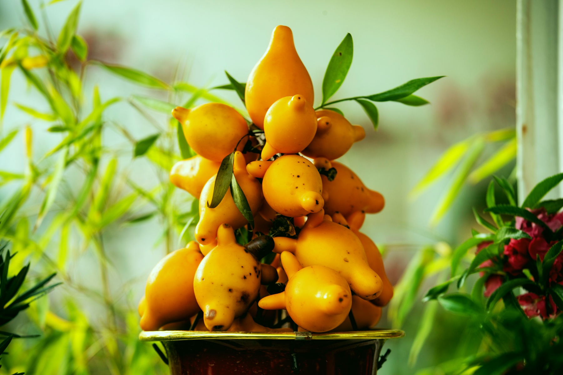 ���� ���� �ƽ��.jpg