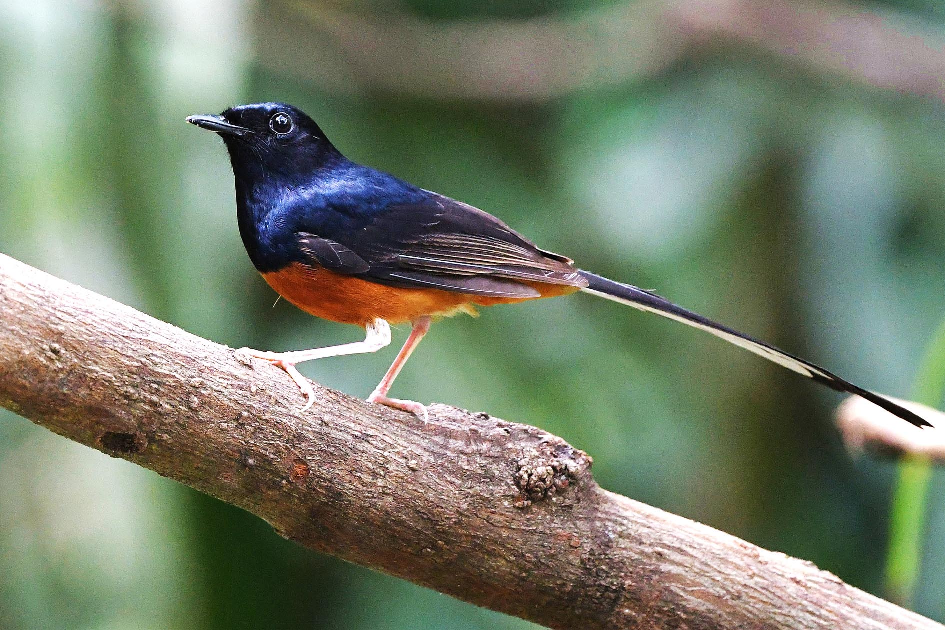 NIKON D5001102_����.jpg