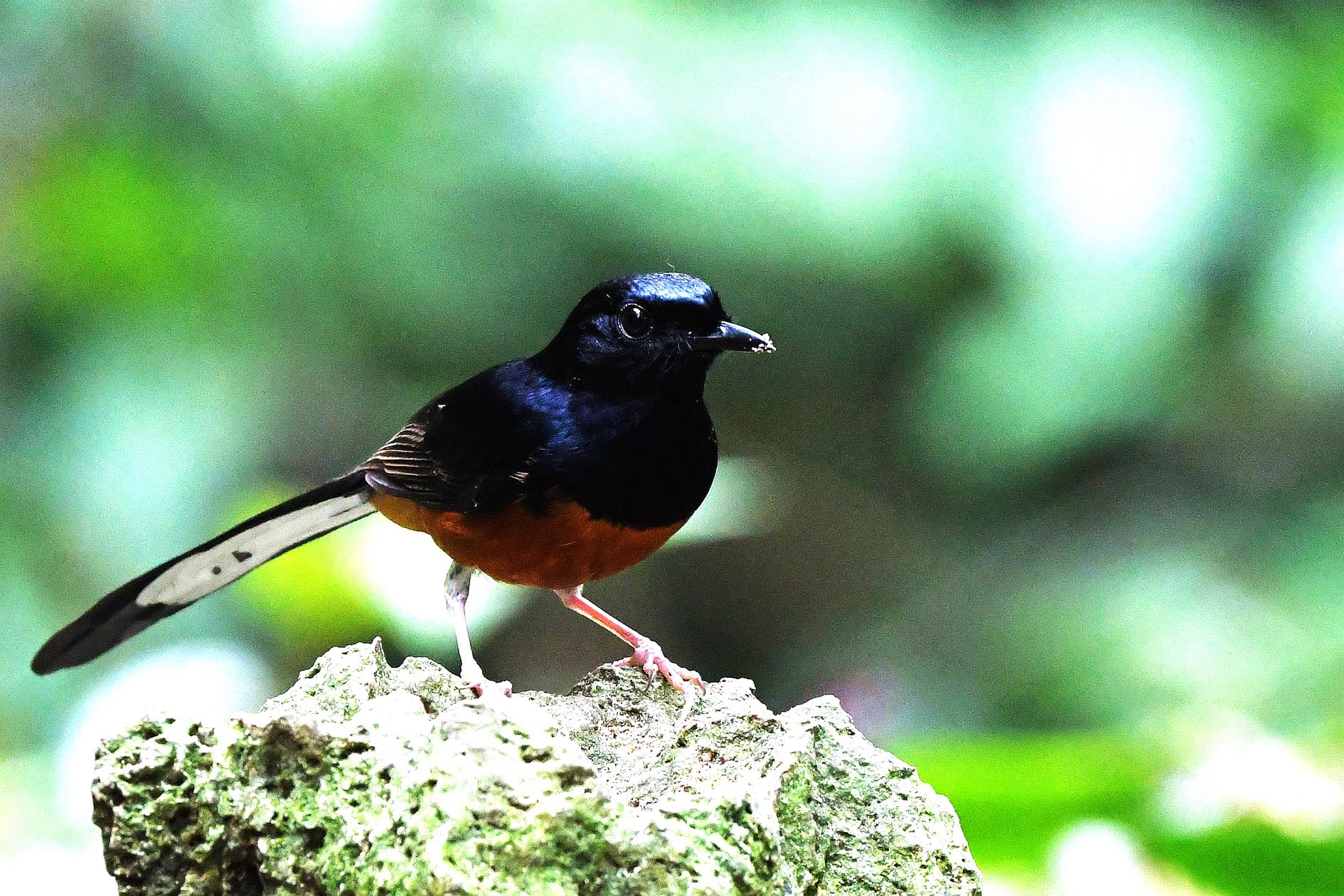 NIKON D500933_����.jpg