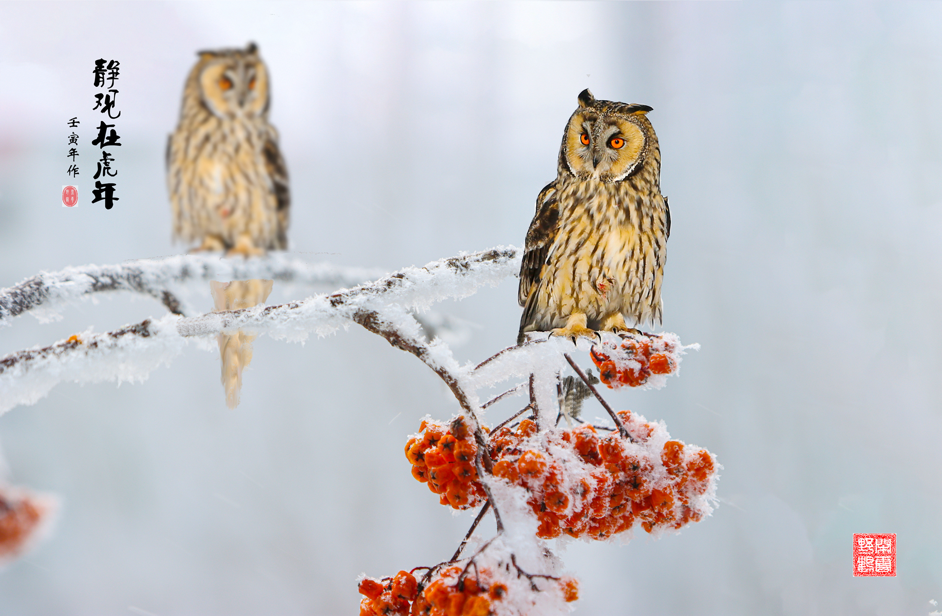 ��ʵ�Ա� - ����.JPG