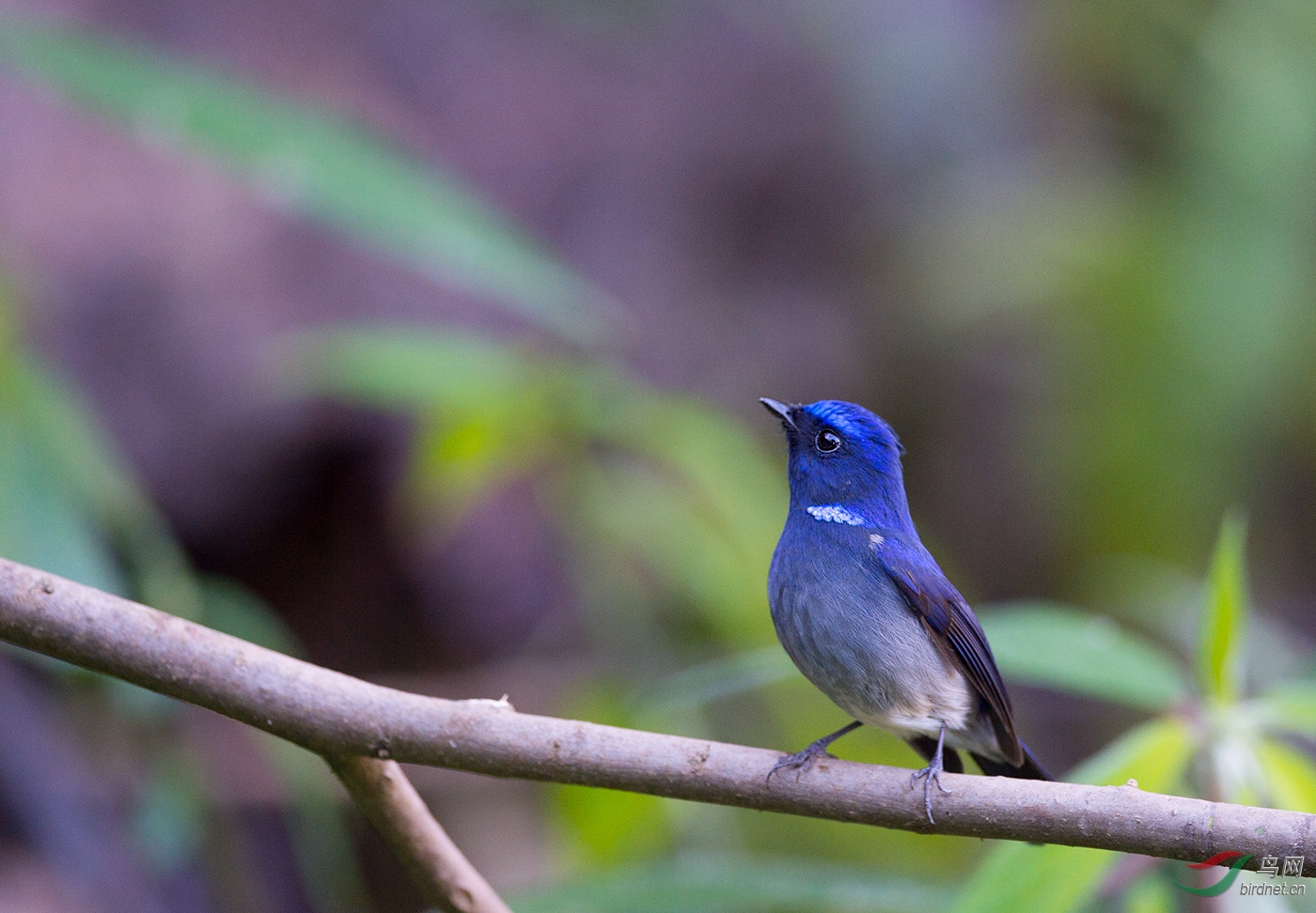 ֪������  ��ʦ����.jpg