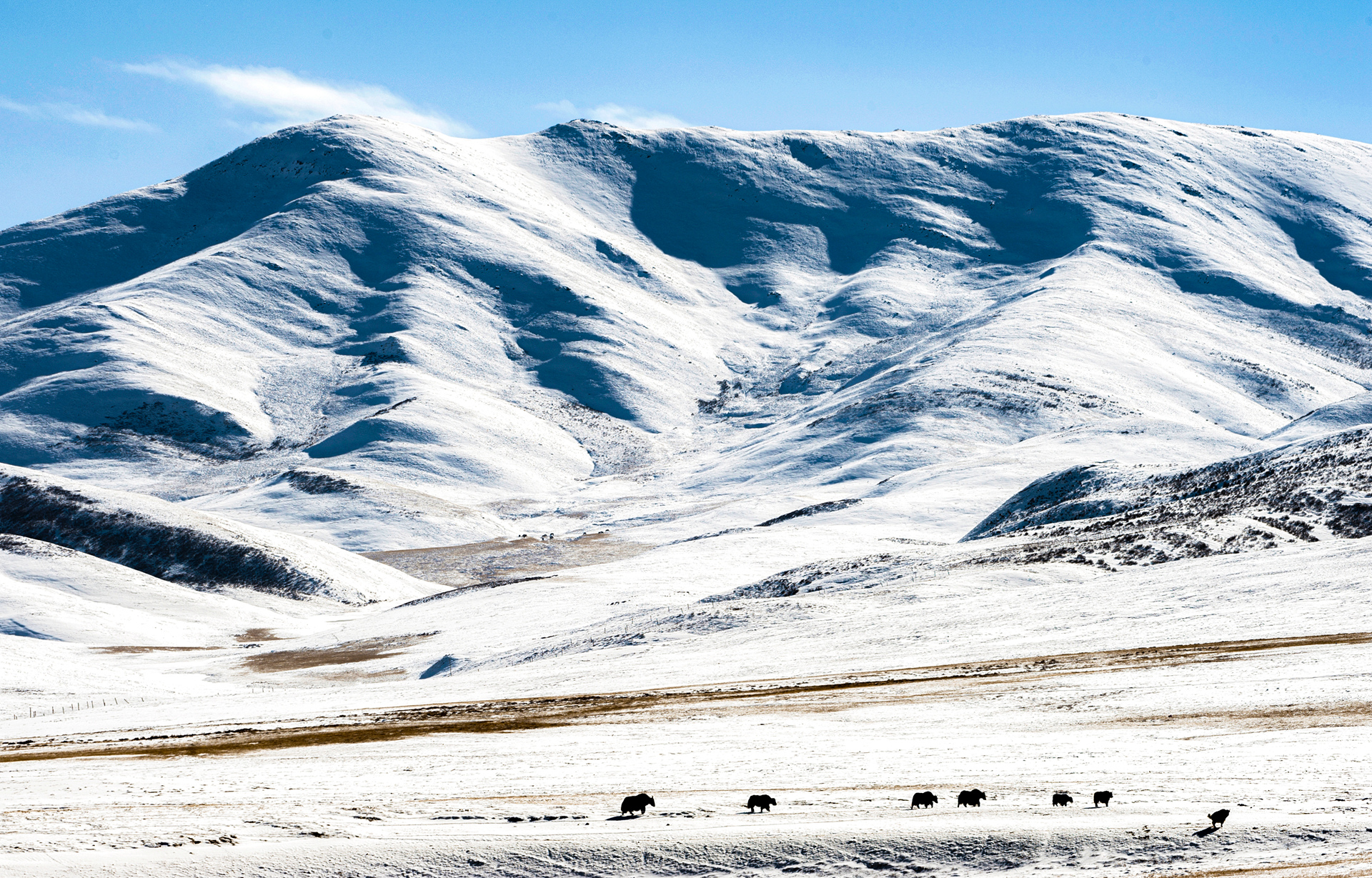 ��Ӱ���μ��ա�ɽ�꡷��21��_����.jpg