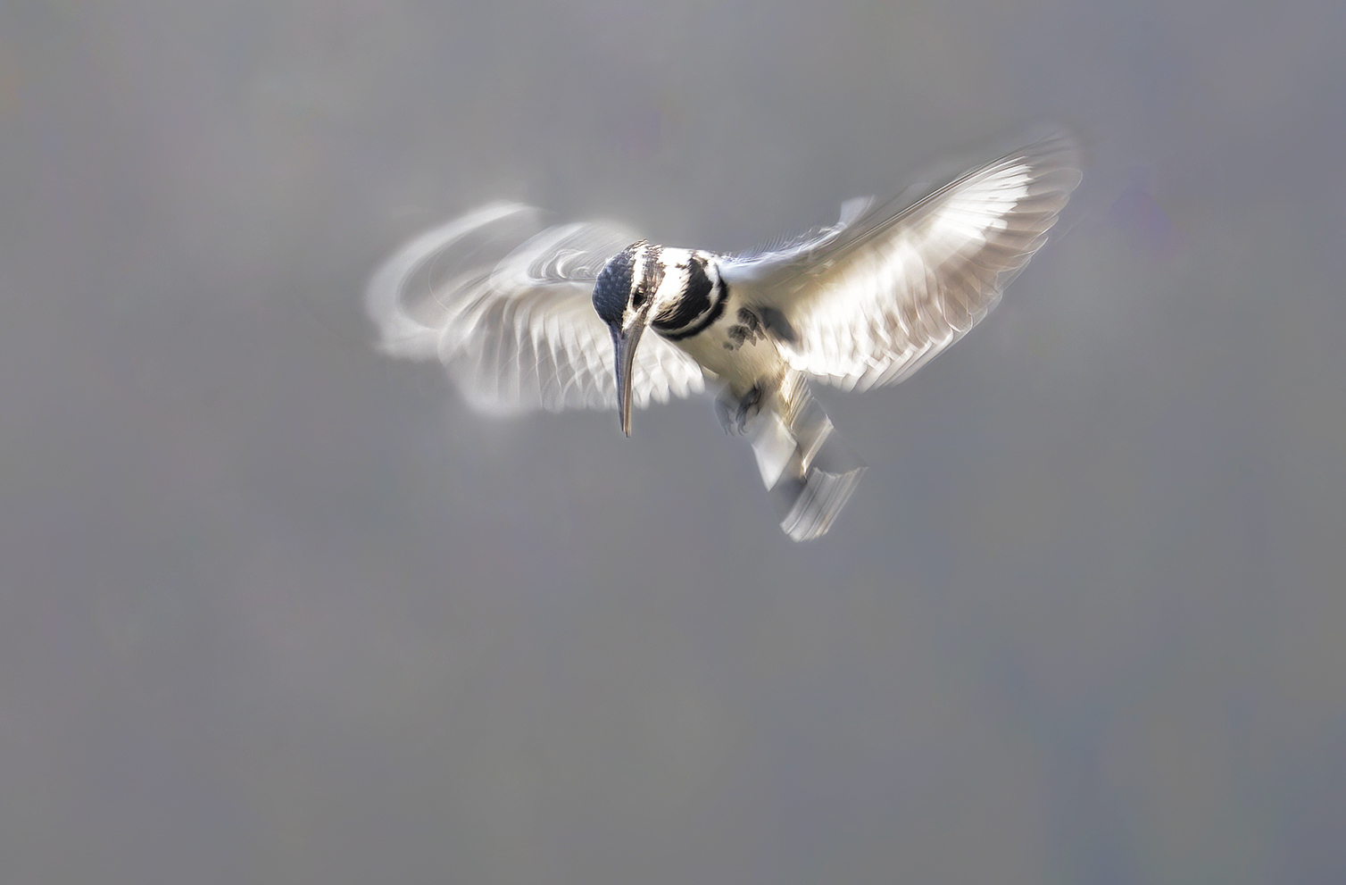 AI8I4728 ����.jpg