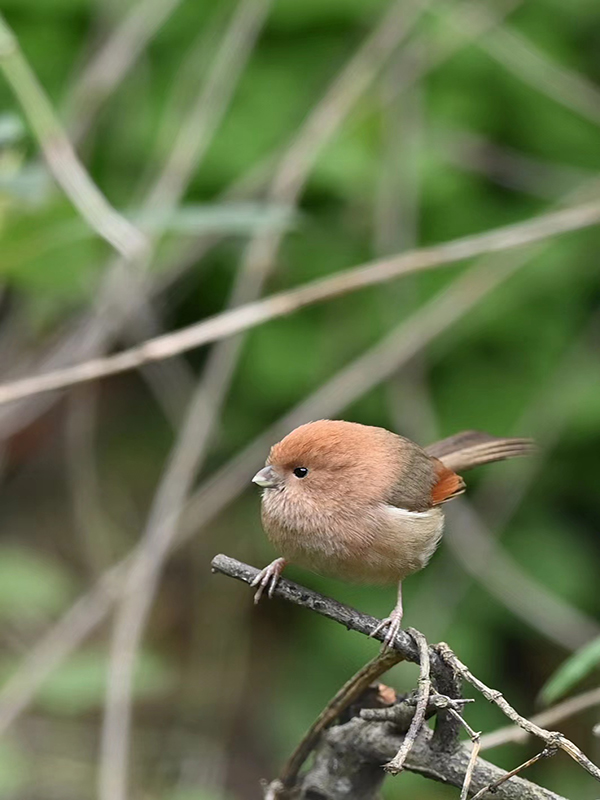 ԭͼ��.jpg