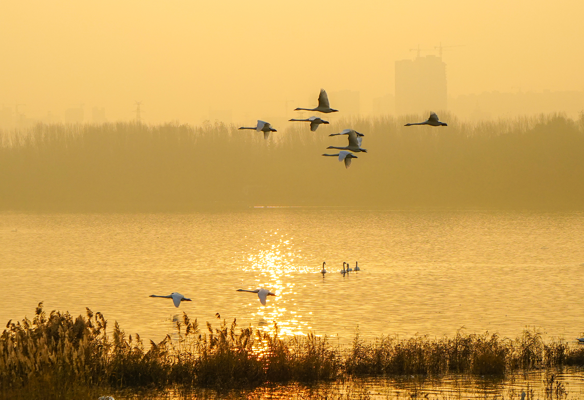 DSC01108f.jpg