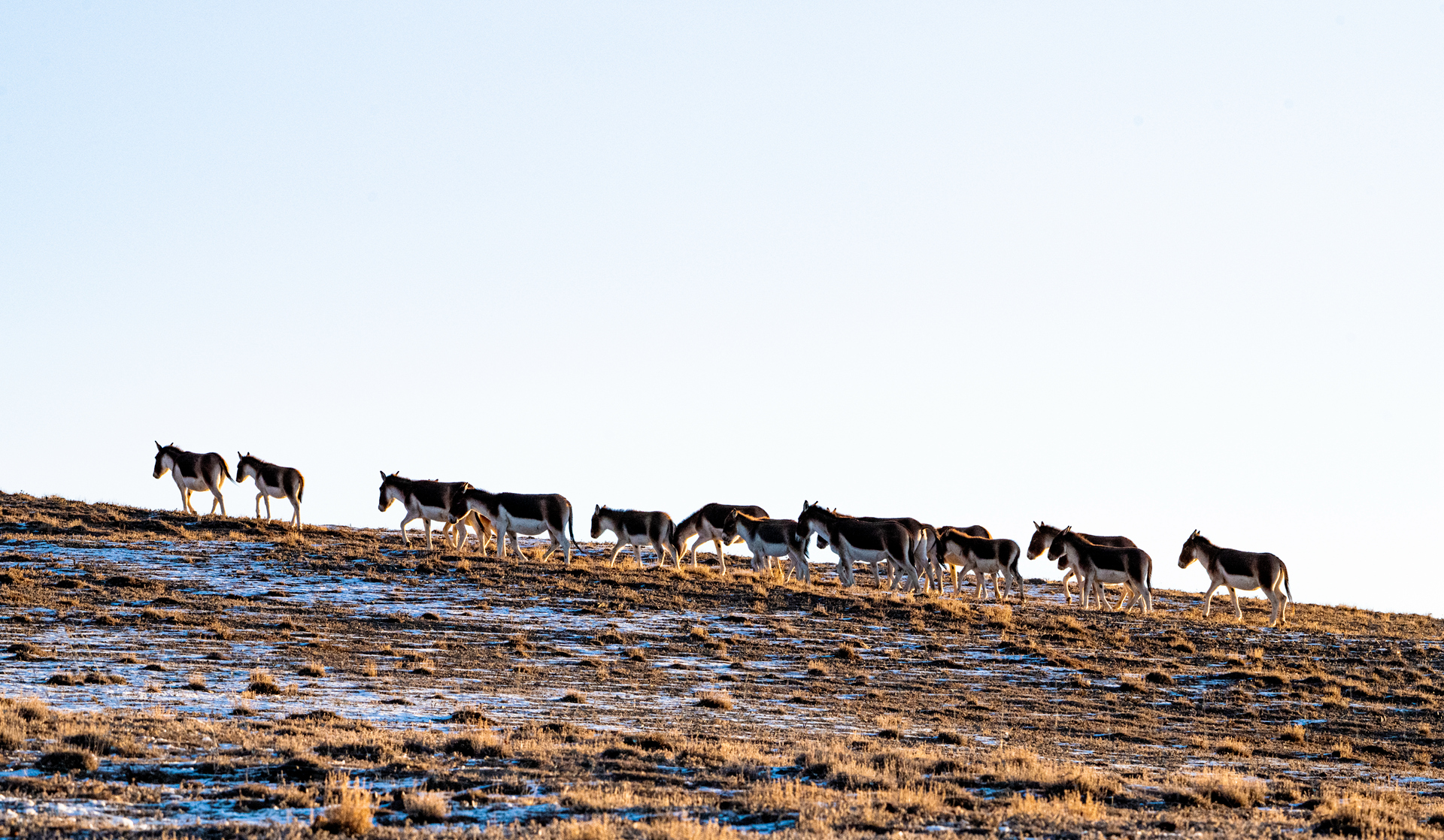 _DSC5928_����.jpg