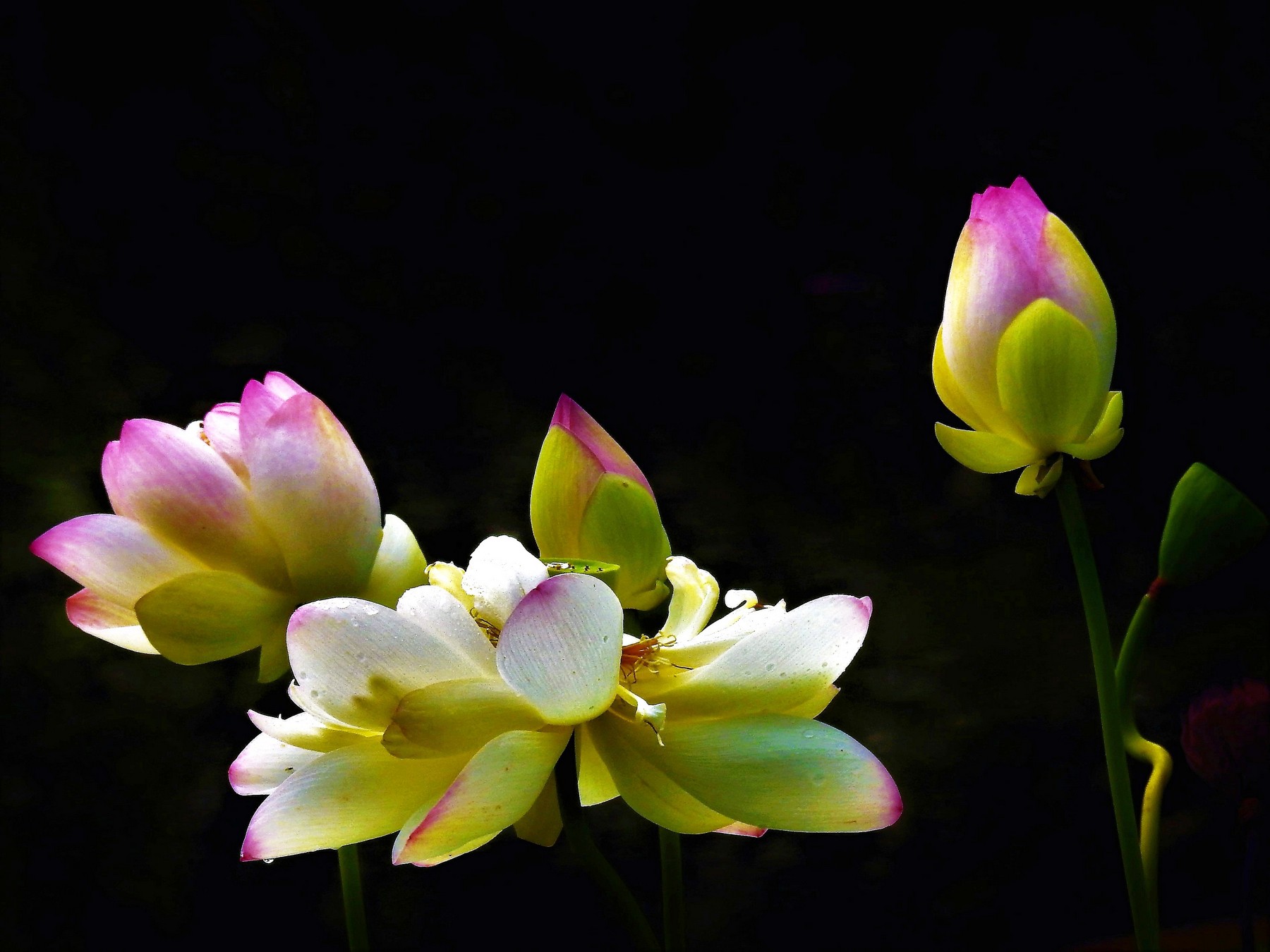 DSCN6291.JPG