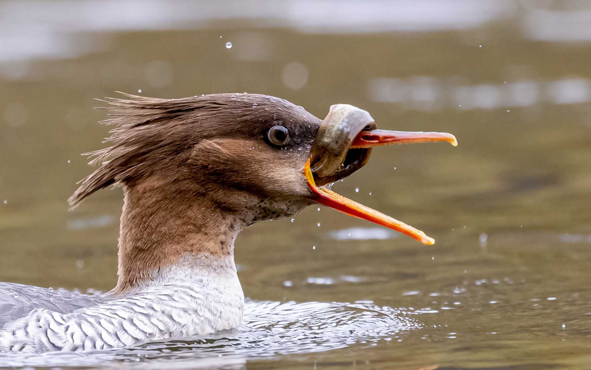 �Է�����Ҫ��