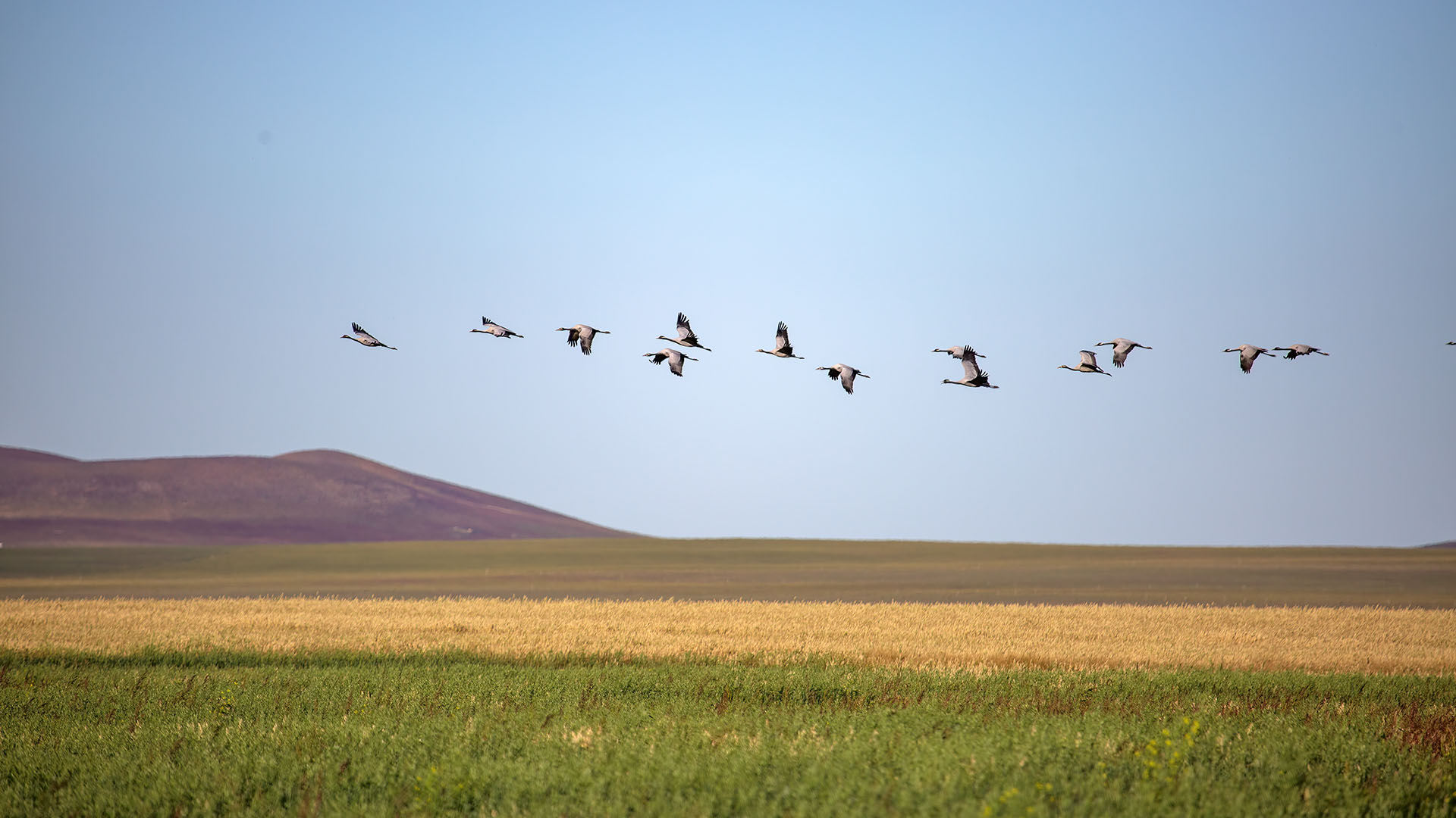 5D3_8180 ����.jpg