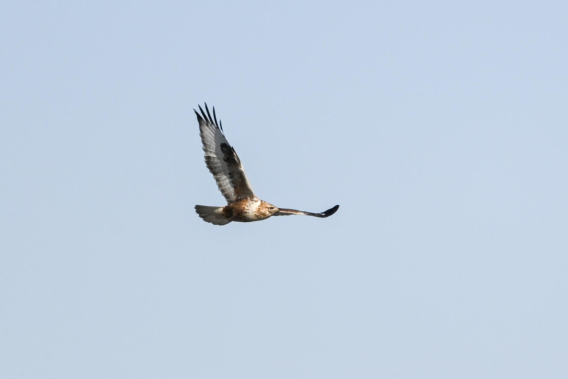 DSC_5728.jpg