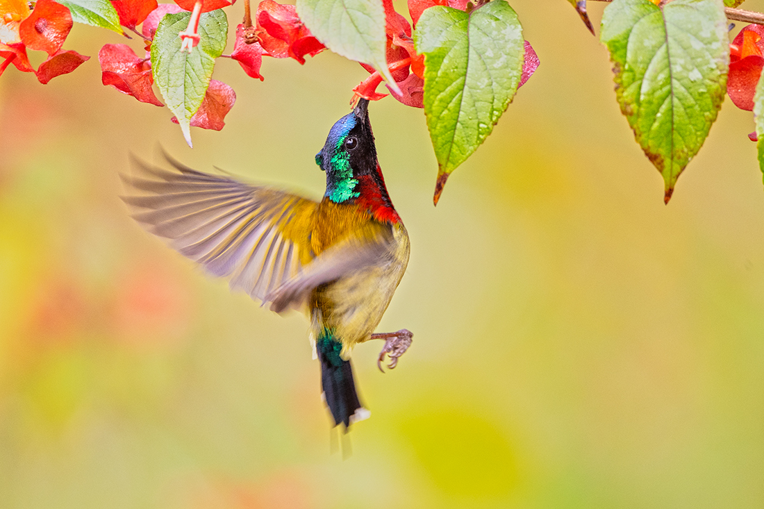 ��DSC_1510.jpg