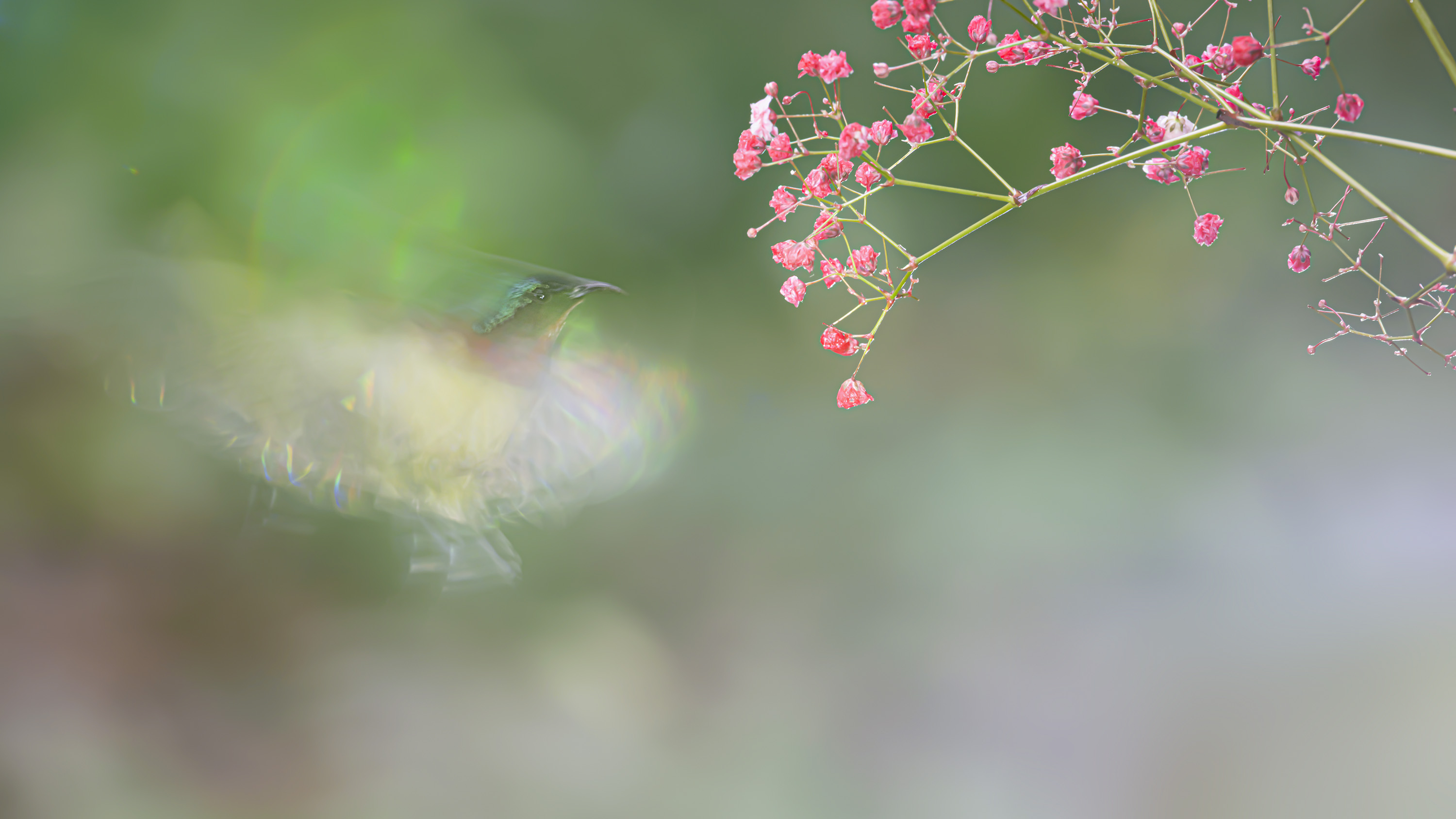 _DSC6010_DxO.jpg
