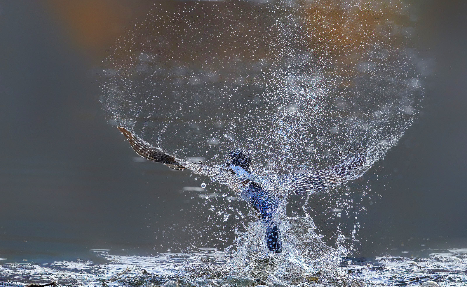 AI8I3554 ���� 3.jpg