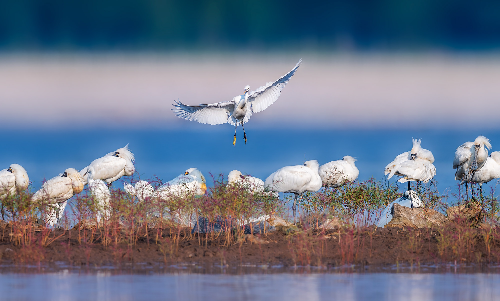 ����������������