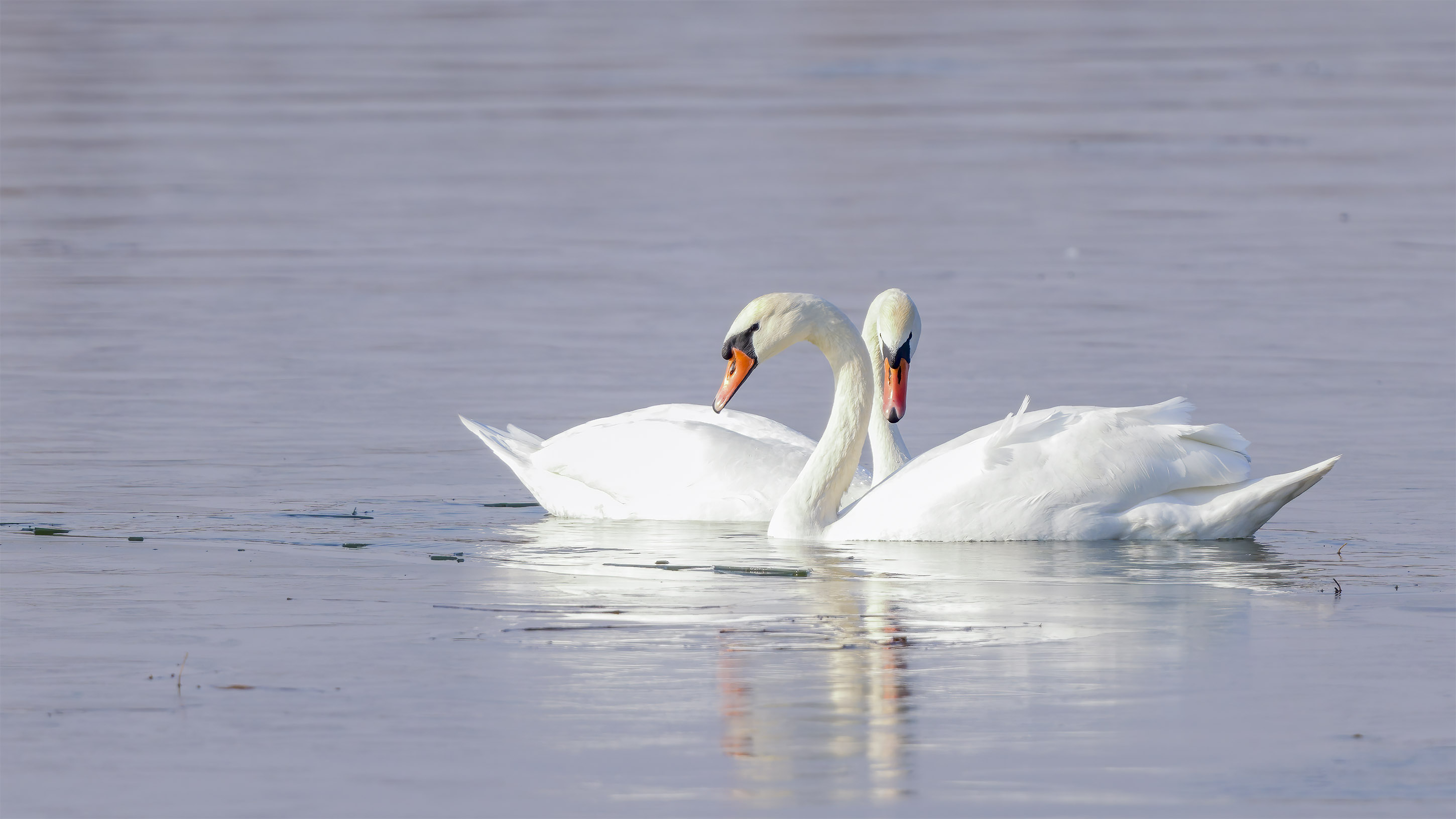 _T0A4483 ����.jpg