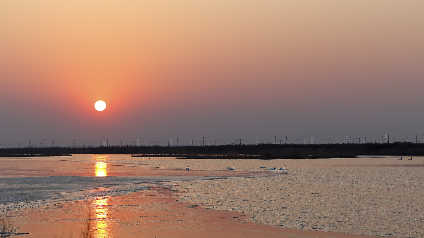 _Z4E4629 ����.jpg