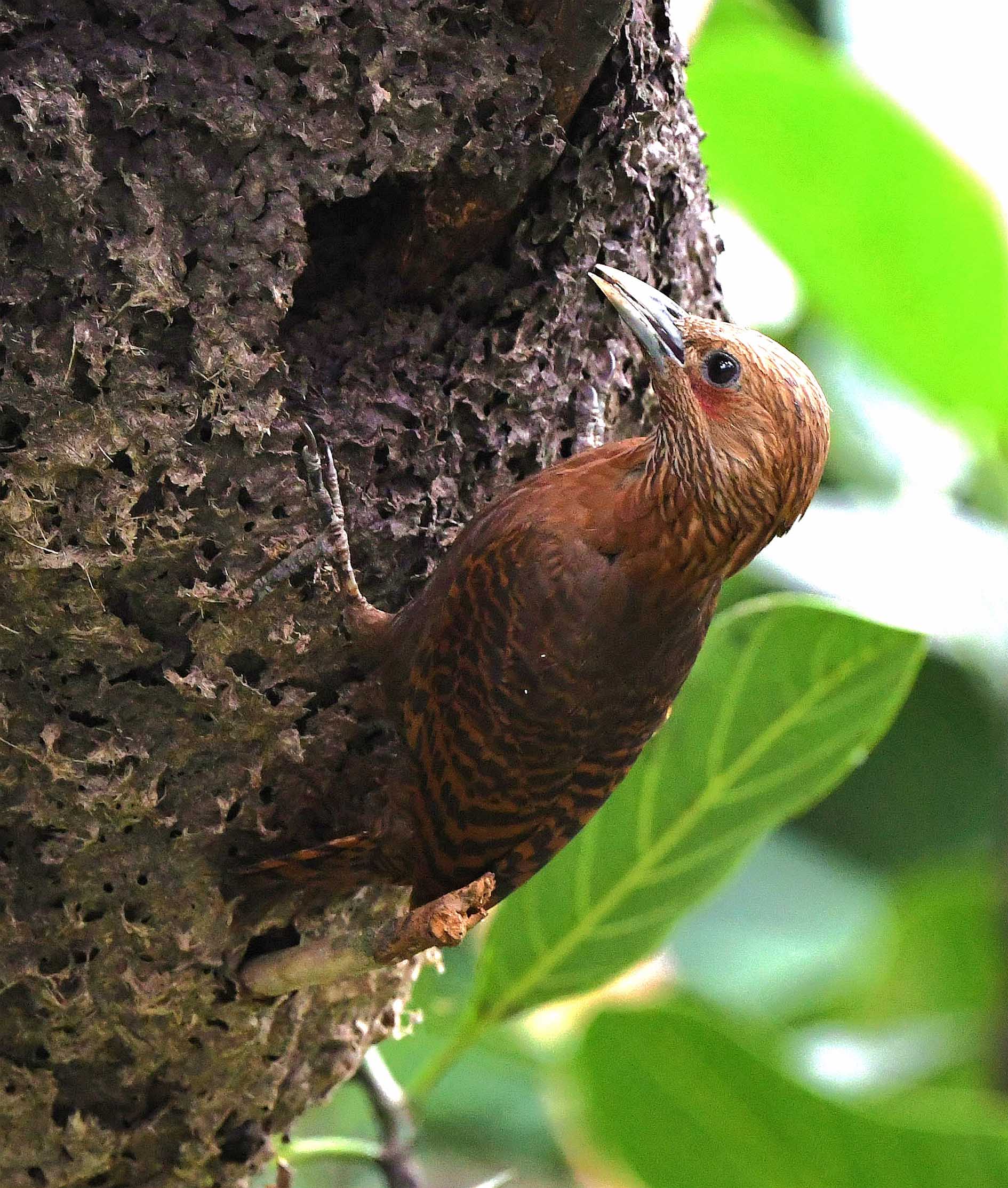 DSC_1758_����.jpg