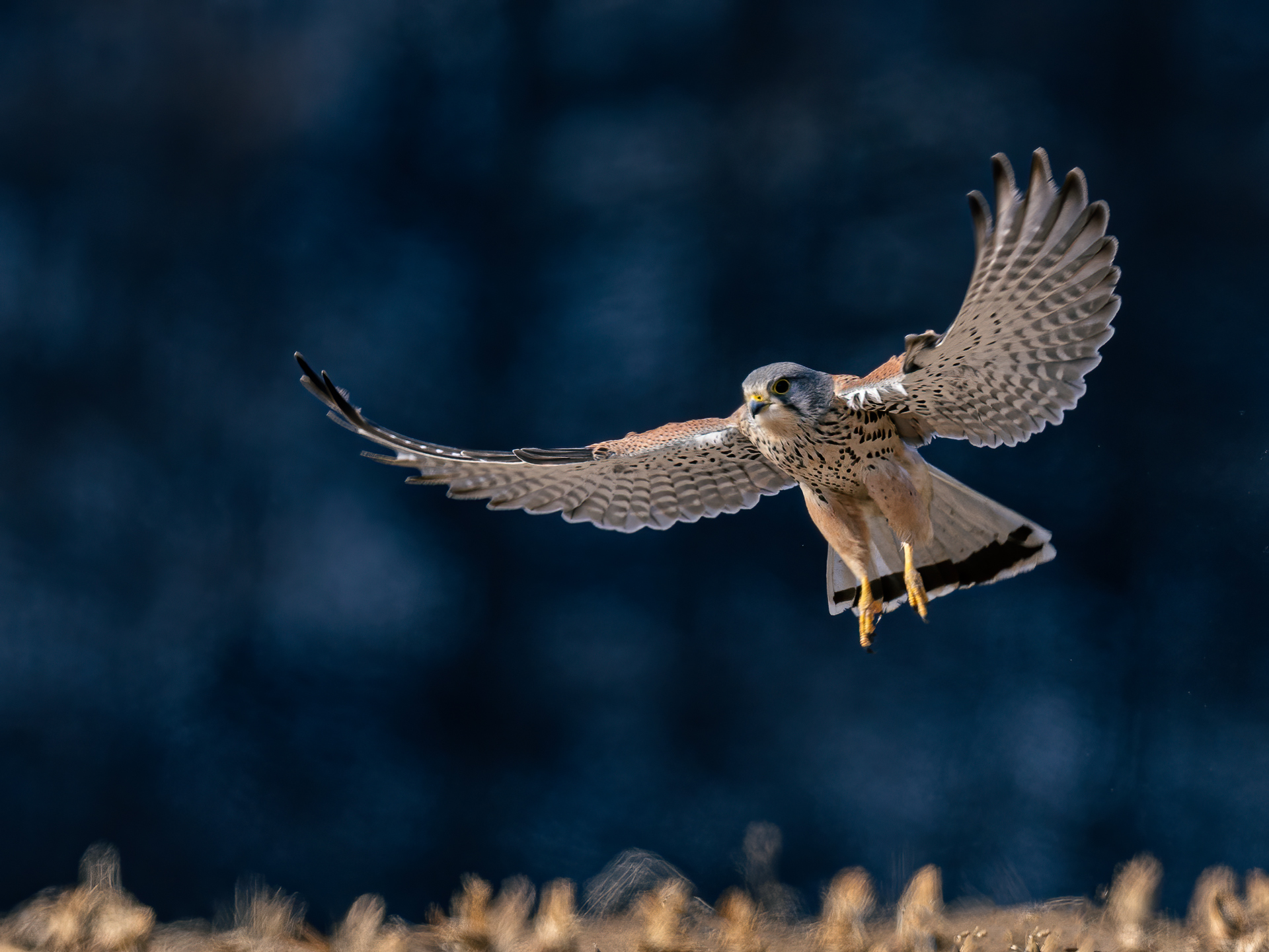 ����0C4A0128.jpg