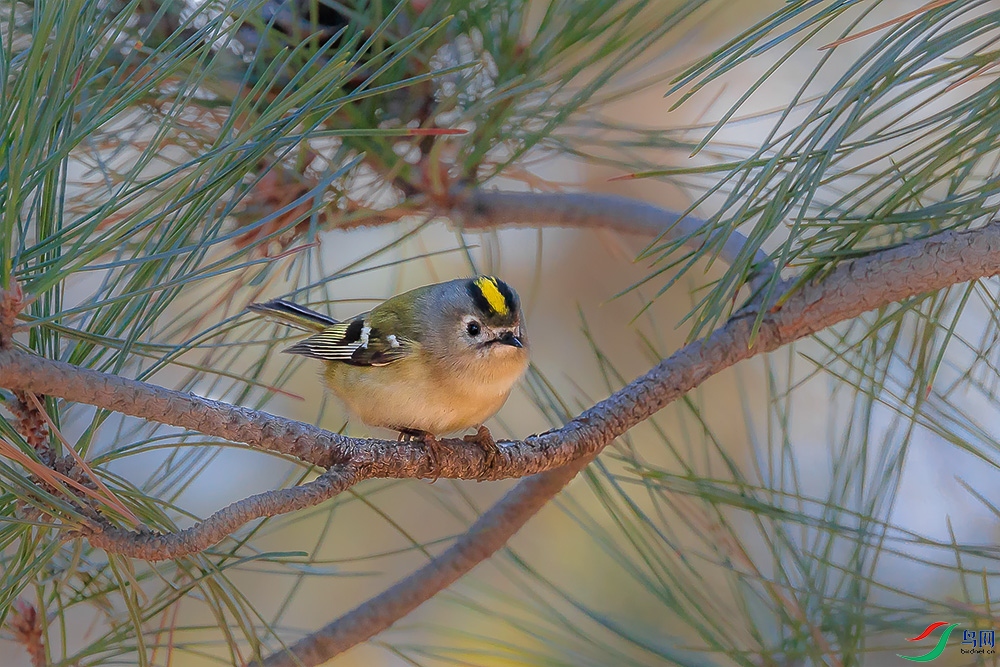 ���  ��ʦ����������ʡ������.jpg