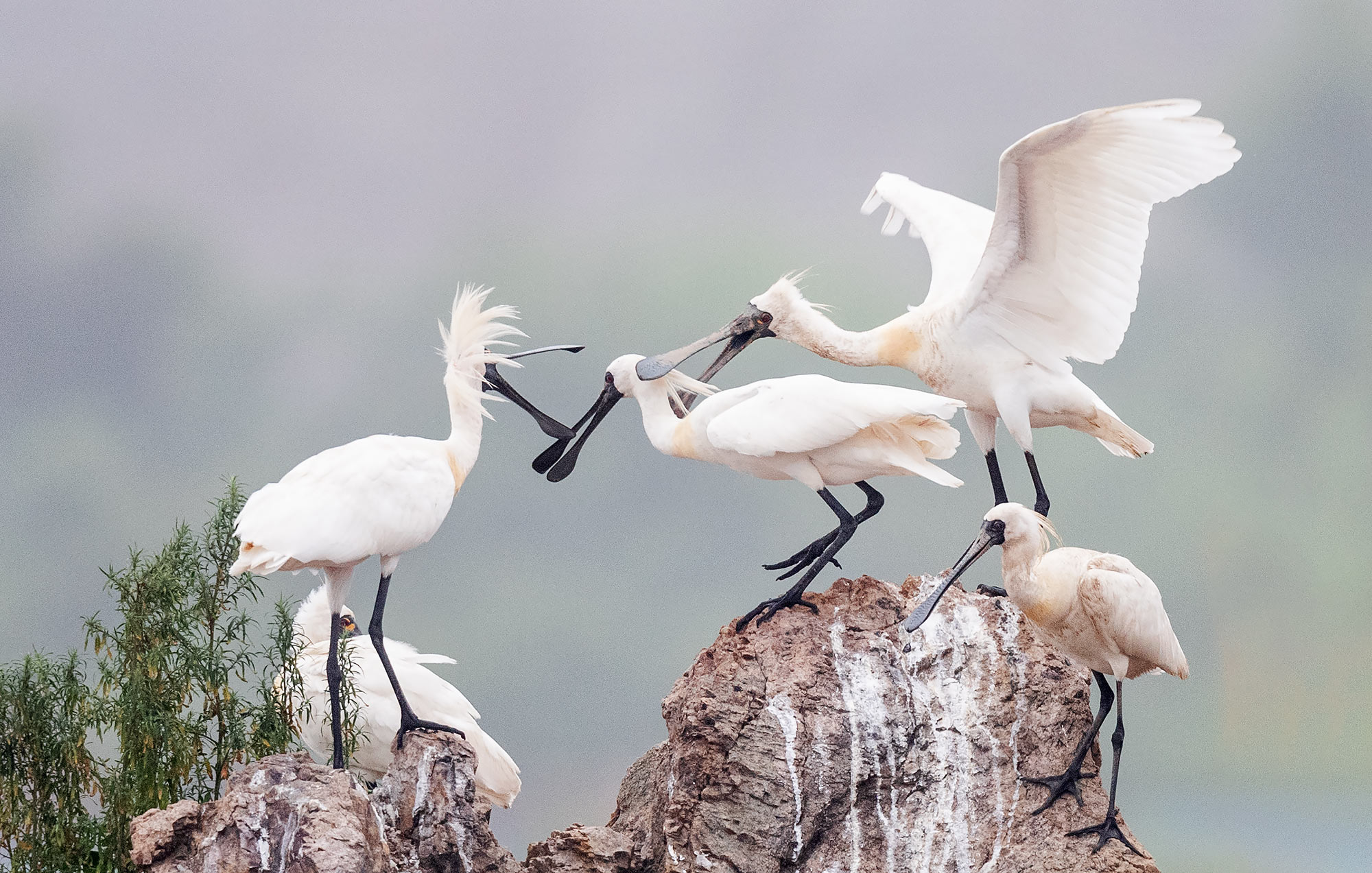 ��������