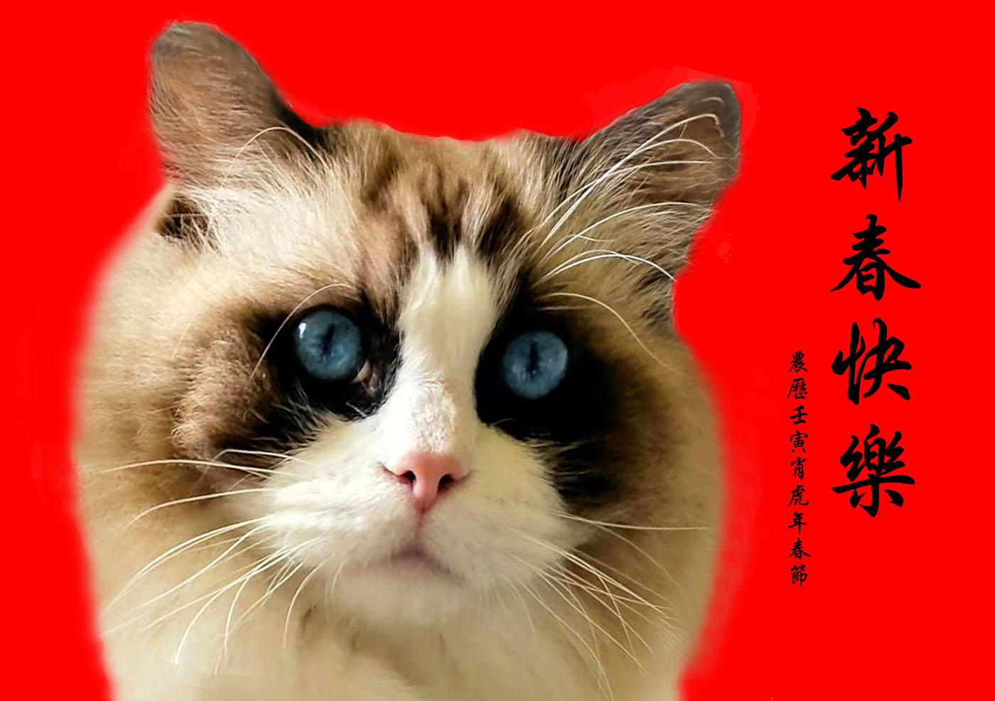 02-�� ��.jpg