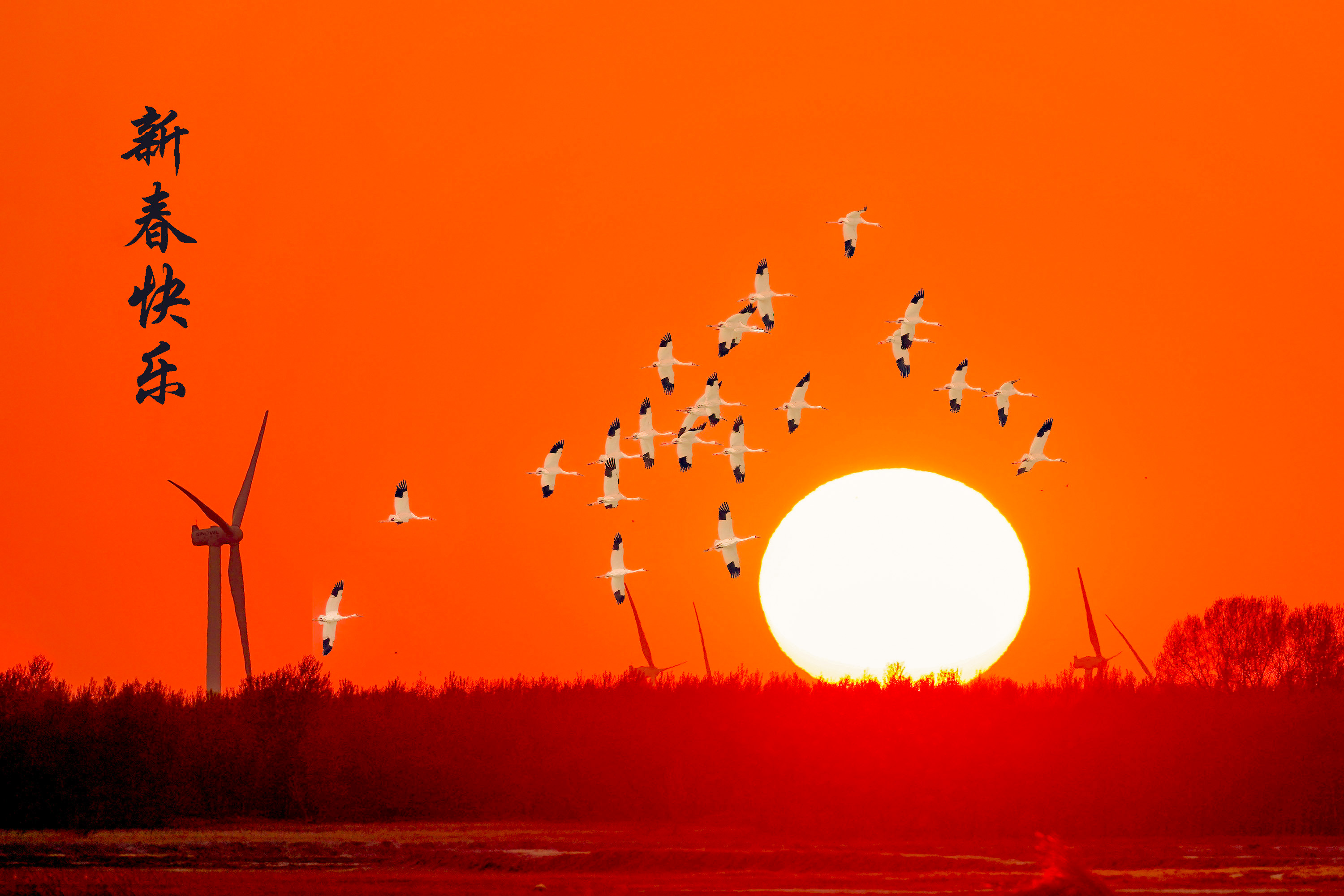 DSC06746 ���� 2.jpg