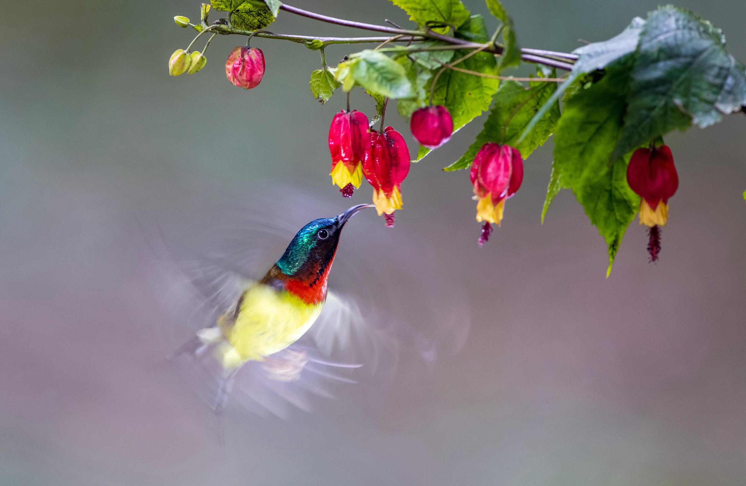 412A3472-1_����=00.jpg