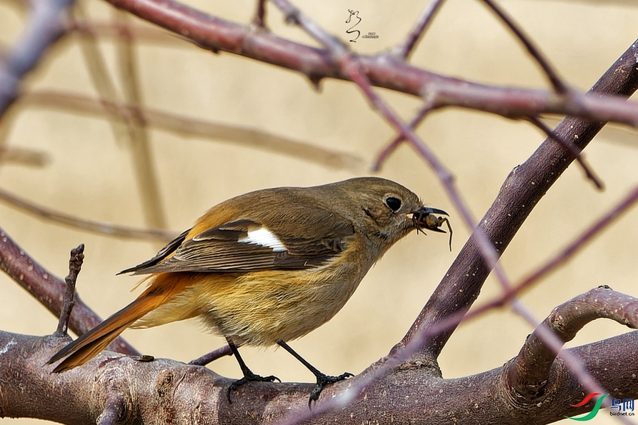 DSC_6122_DxO_����.jpg
