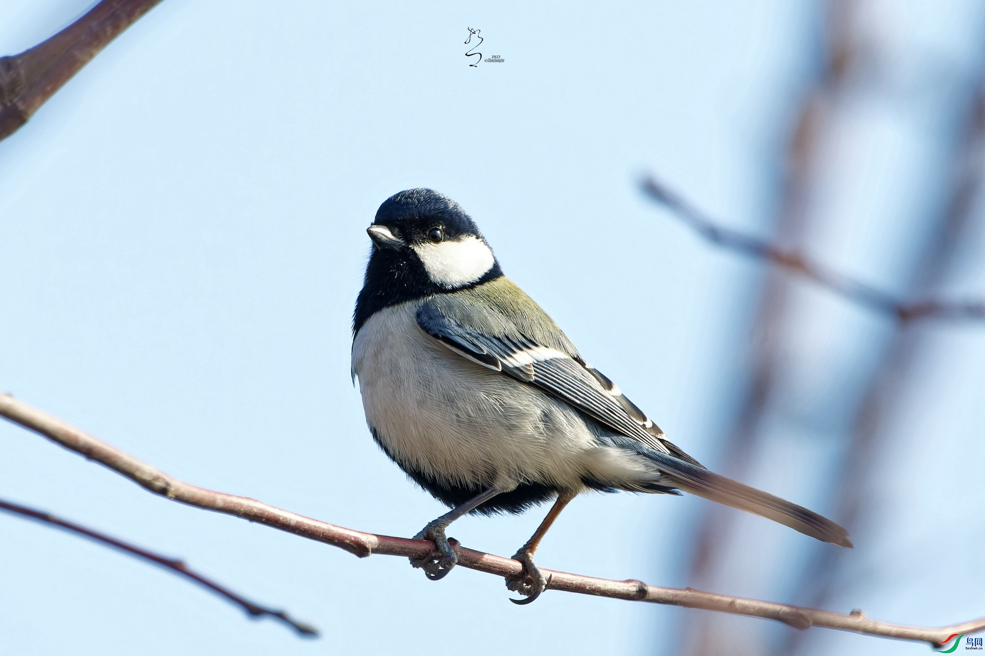 DSC_5883_DxO_����.jpg