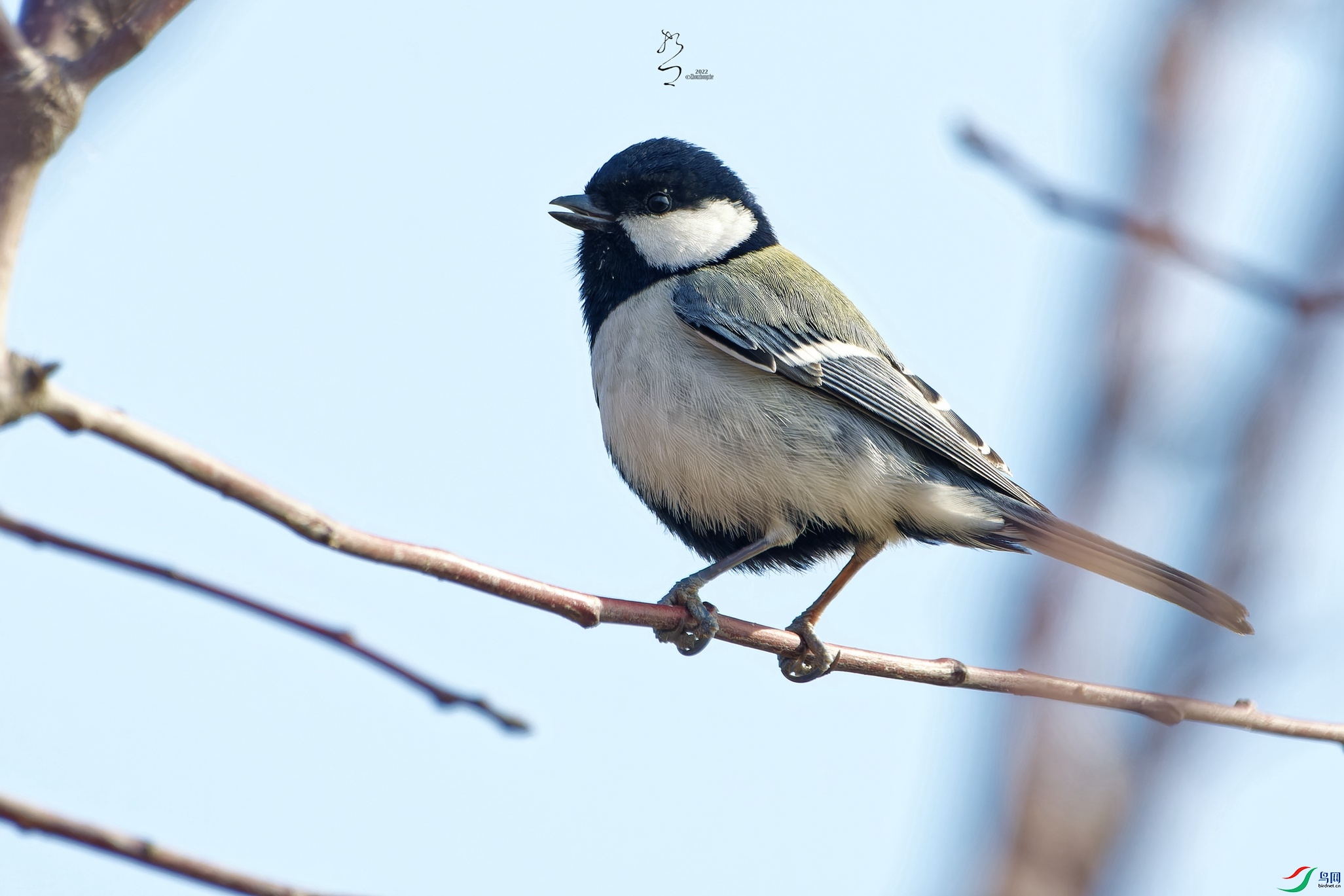 DSC_5877_DxO_����.jpg