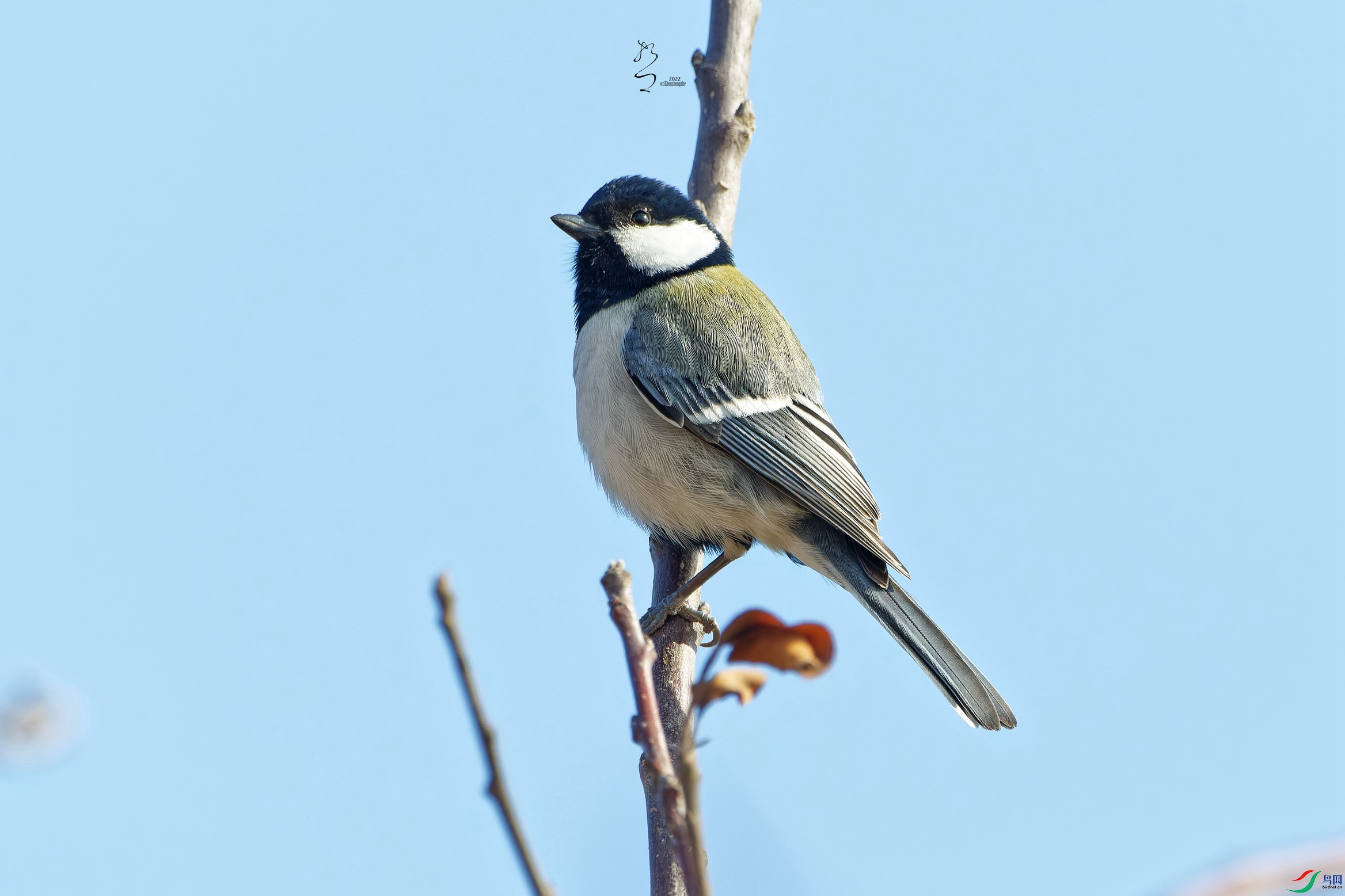 DSC_5897_DxO_����.jpg