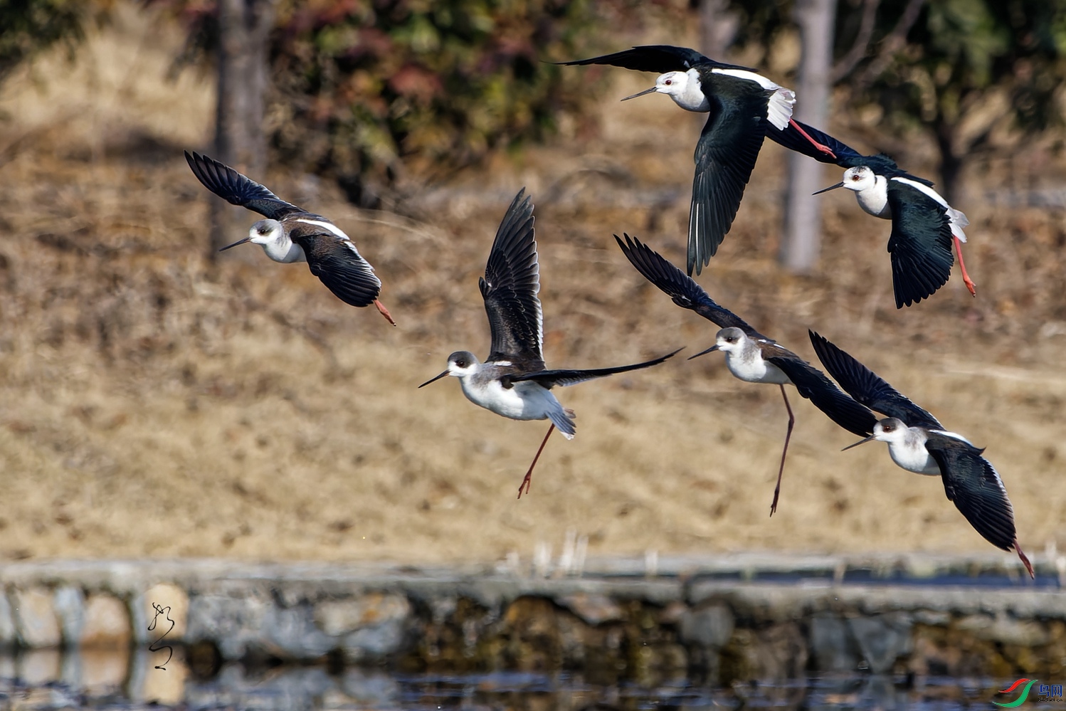 DSC_5573_DxO_����.jpg