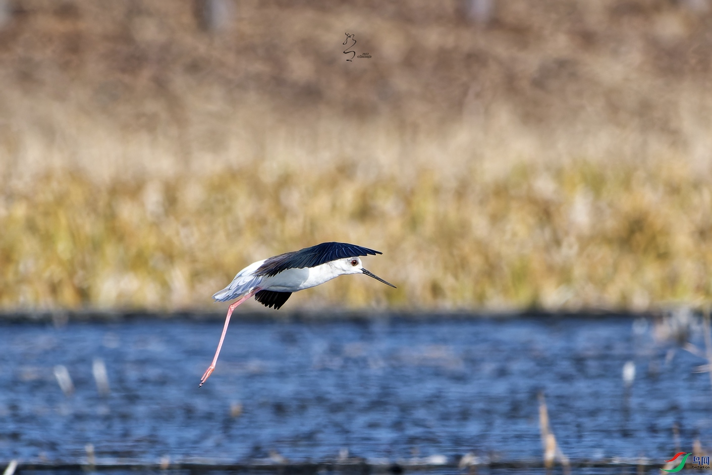 DSC_5601_DxO_����.jpg