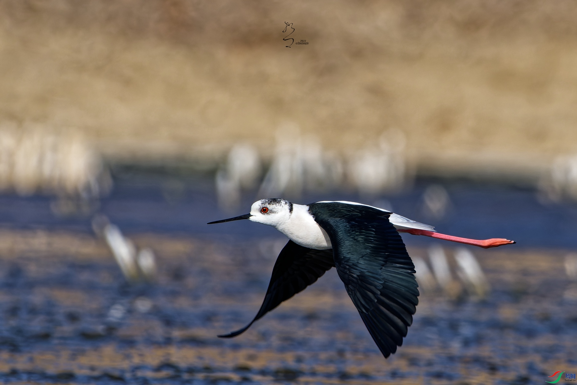 DSC_5620_DxO_����.jpg