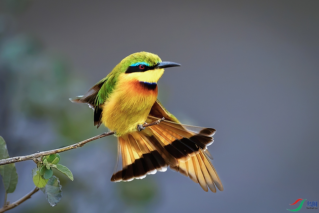 �����ڿ���������������