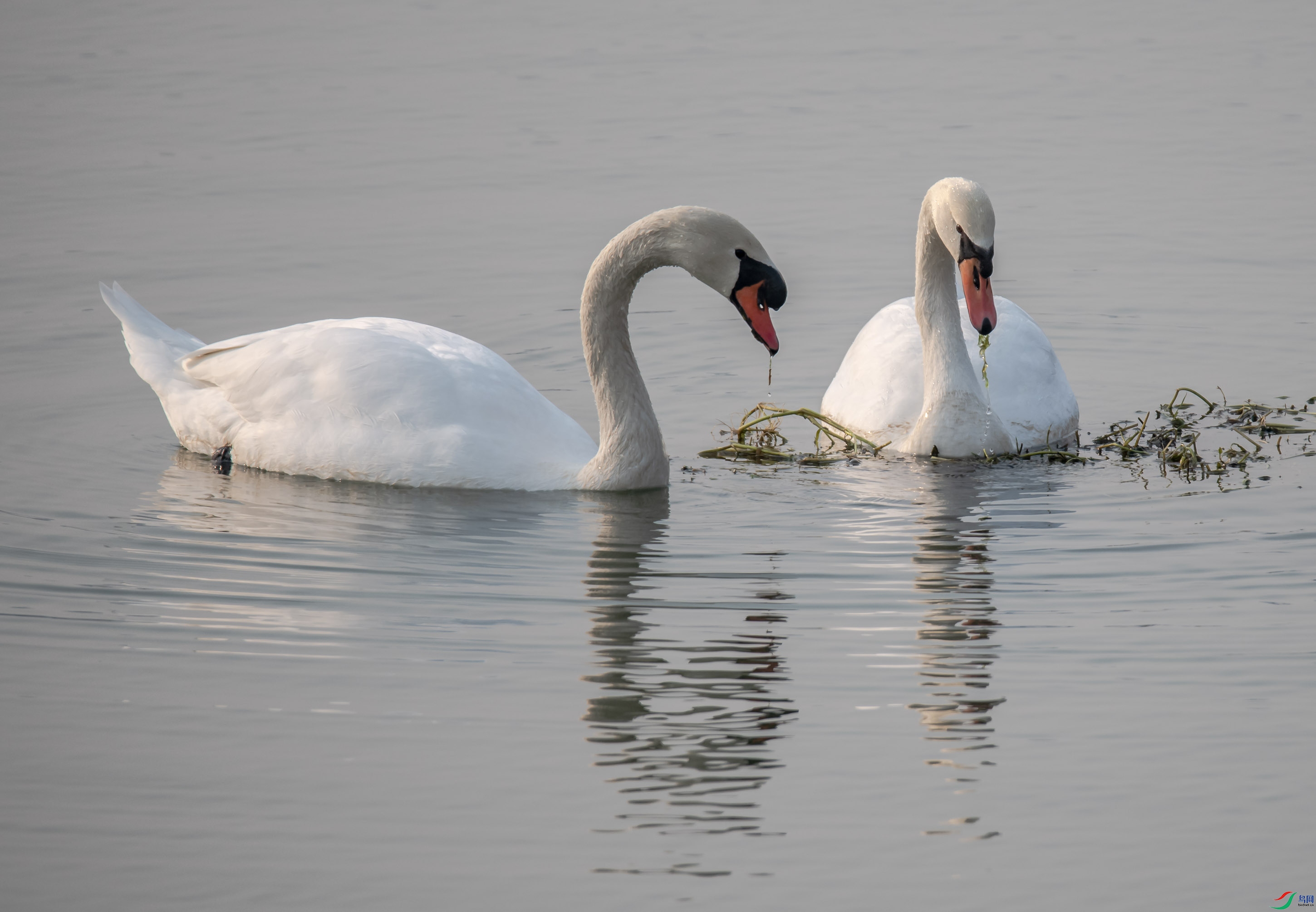 DSC_0852.jpg