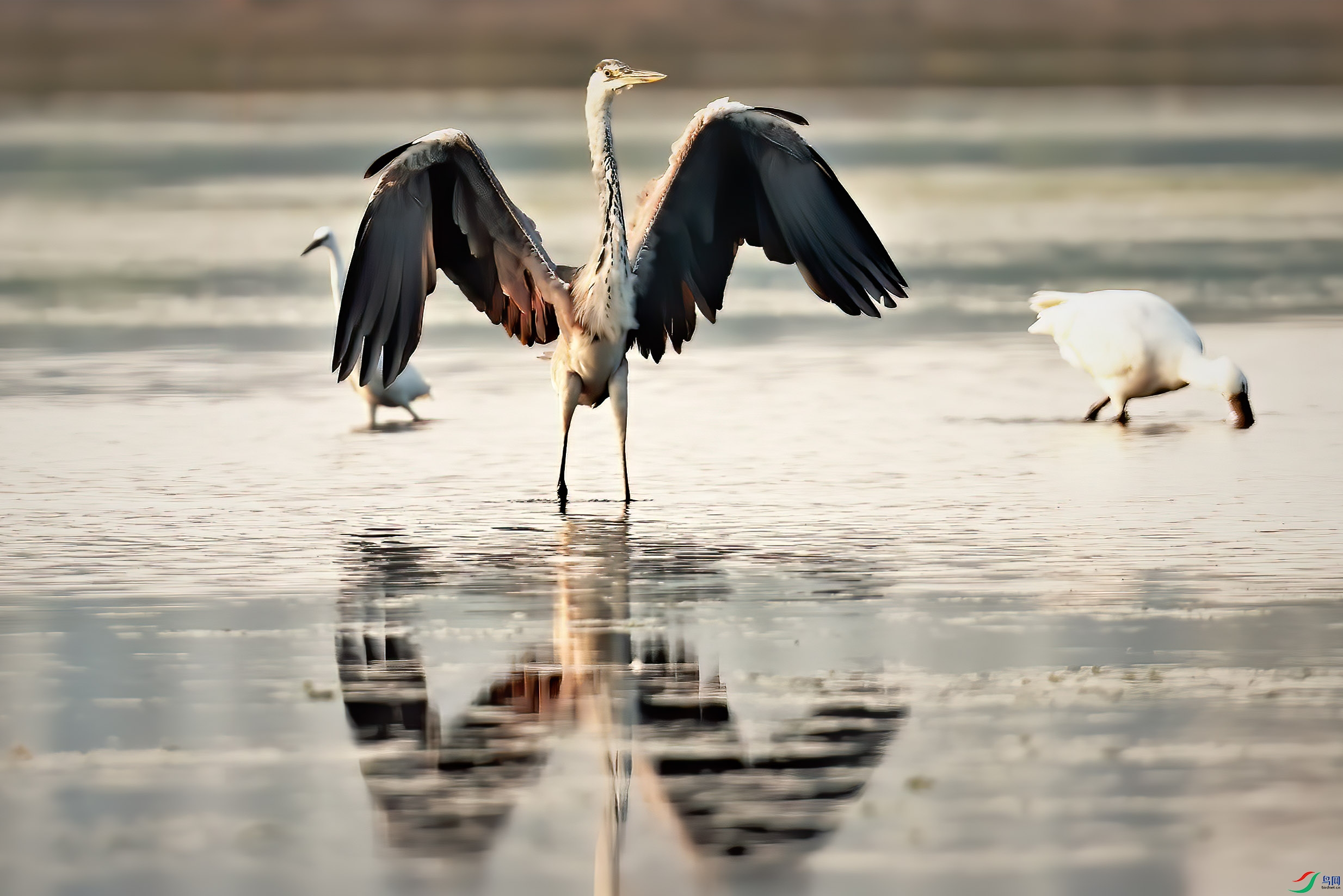 �ϻ����ݲ��ڣ�������������