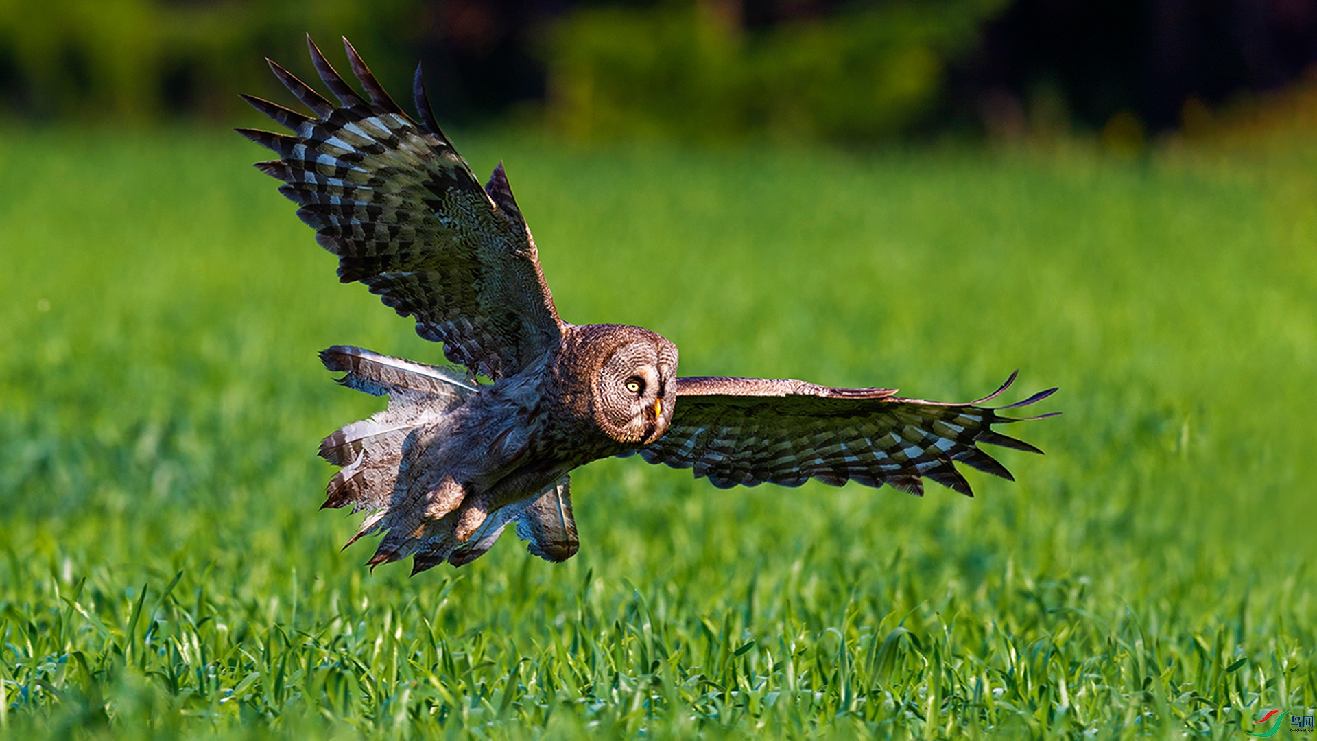 _DSC6831==1x.jpg