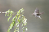 _C5R3519_���� - ���� (2).jpg