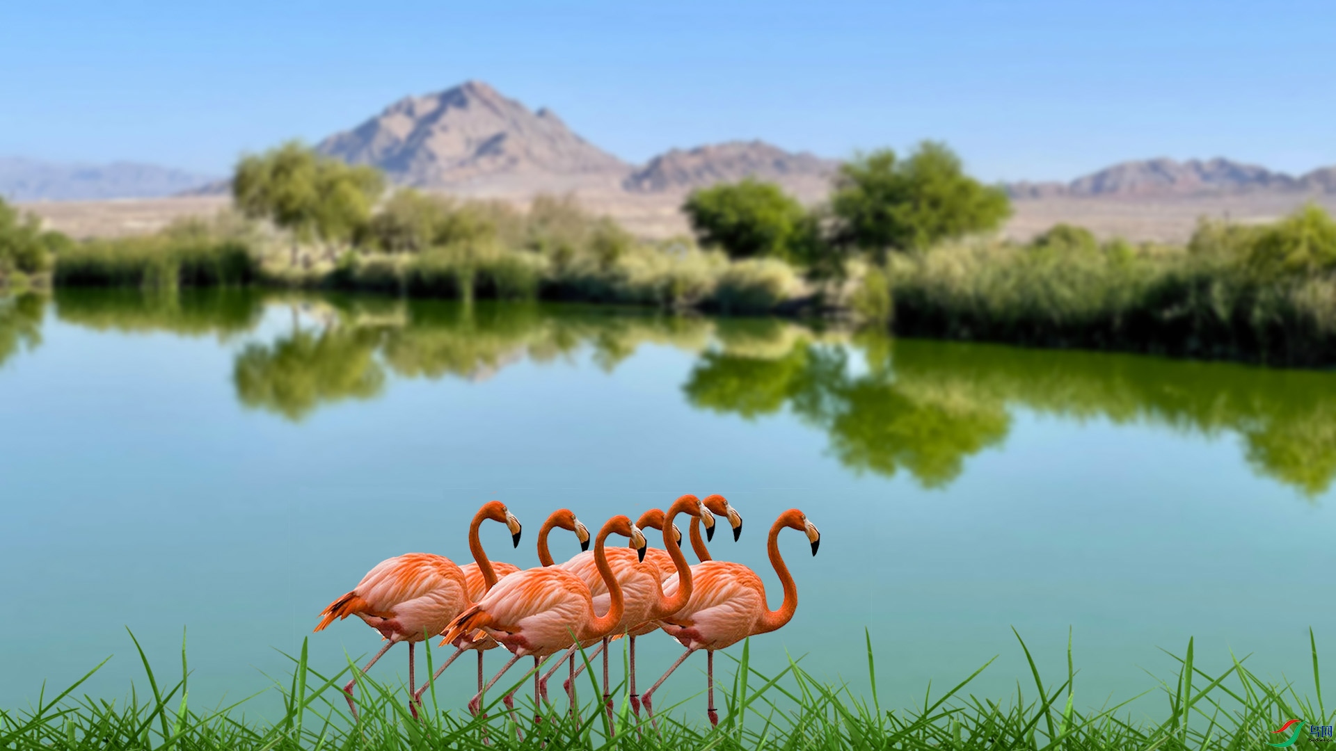 �ж� 1920x500k.jpg