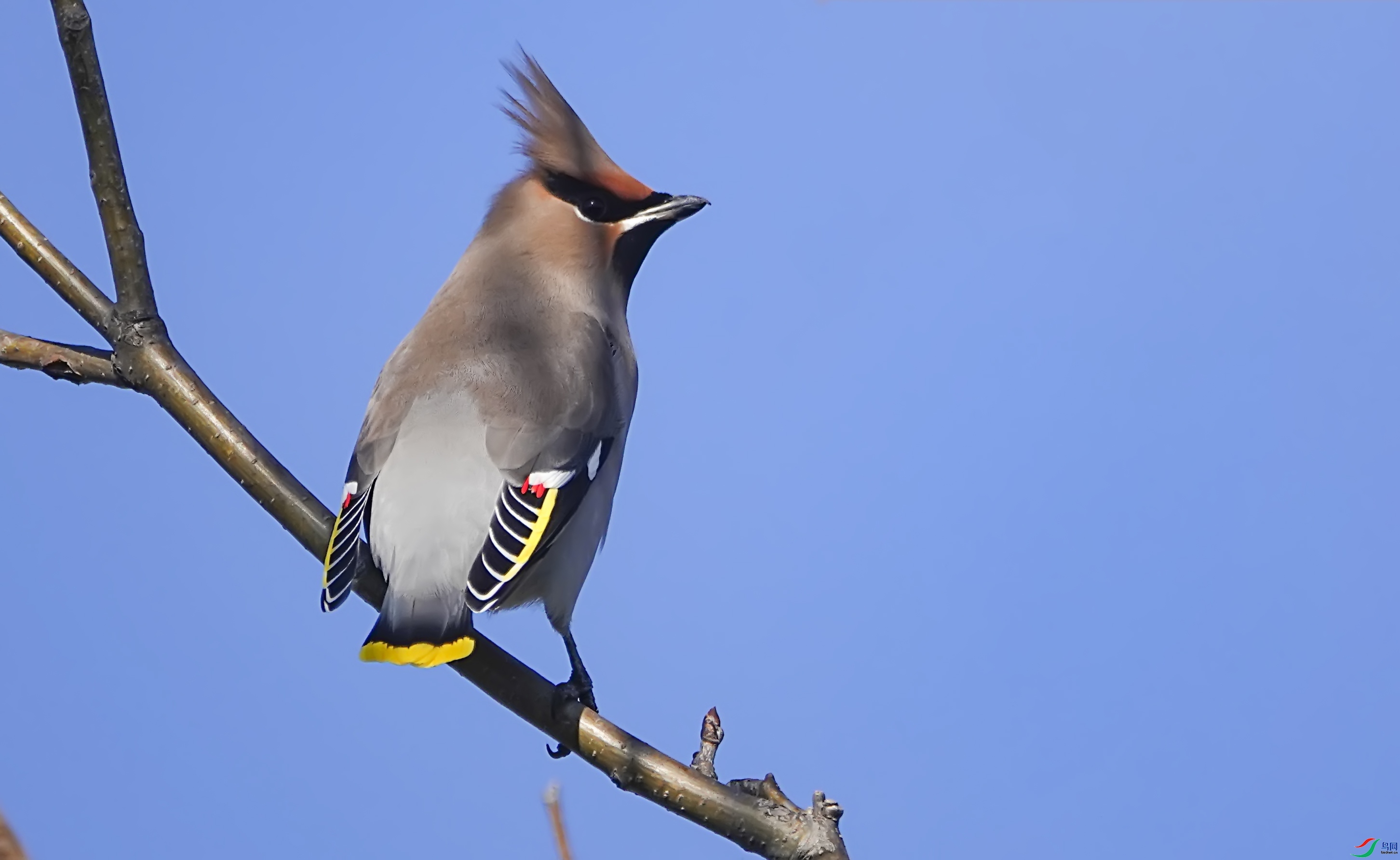 ľ��56  ��ʦ�����ڼ���ʡ������.jpg