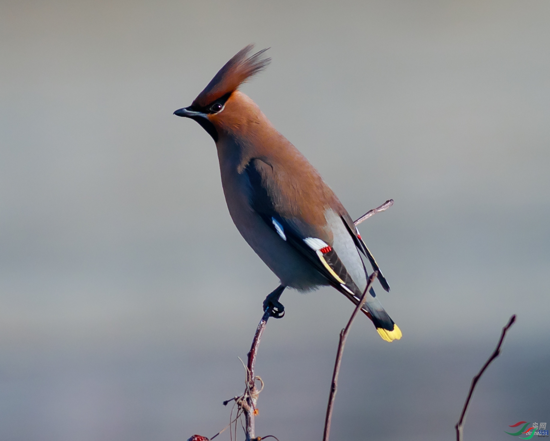 쫷�֮��i  ��ʦ����.jpg