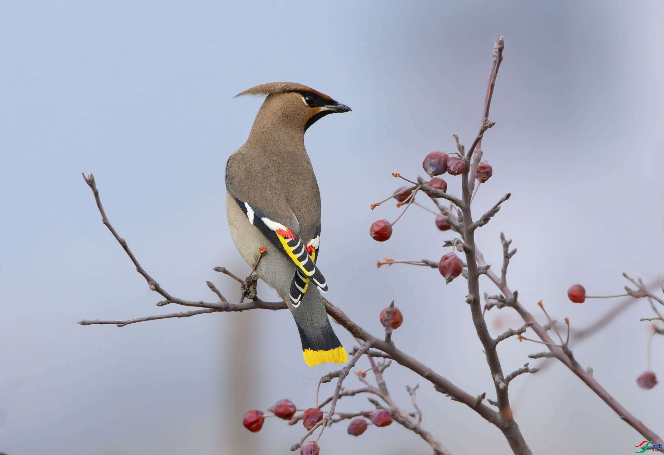 ȸ����Ӱ  ��ʦ���������ɹ����������ͺ�����.jpg