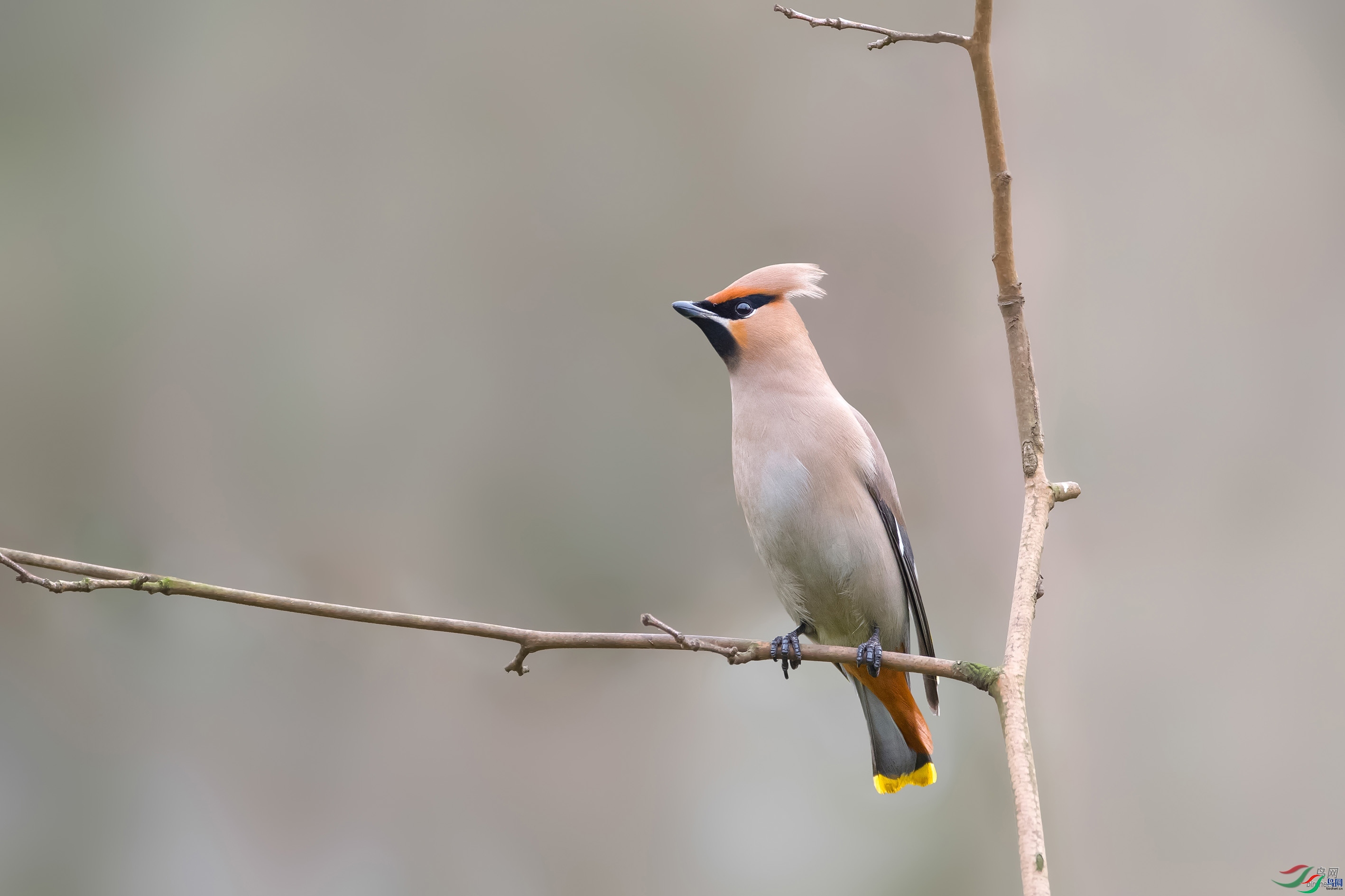 768jianmei  ��ʦ�����ڽ���ʡ������.jpg