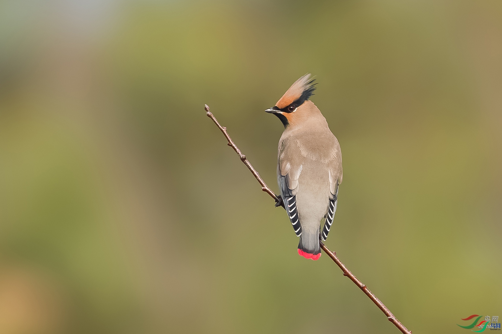 768jianmei  ��ʦ�����ڽ���ʡ������.jpg